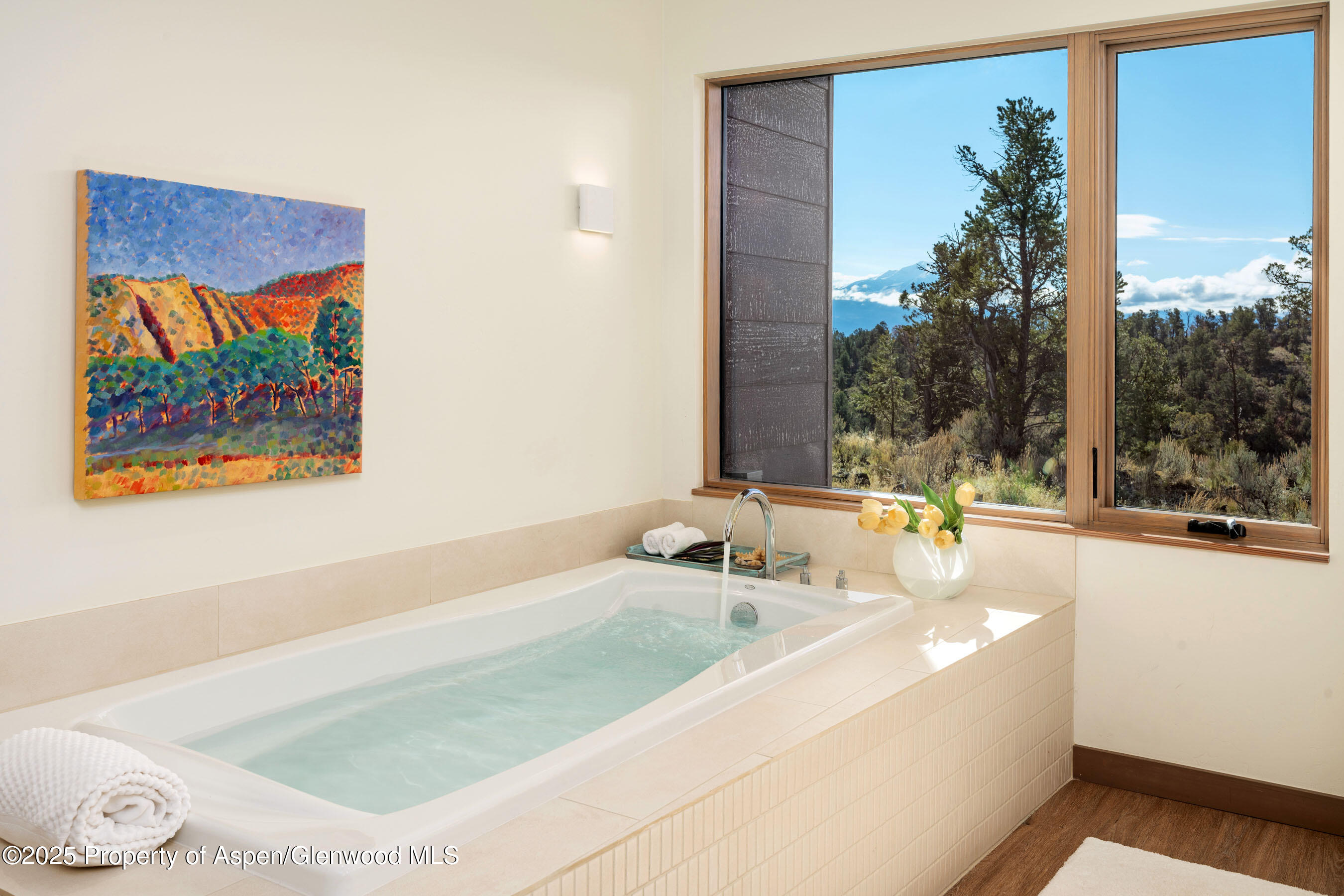 2685 Elk Springs Drive