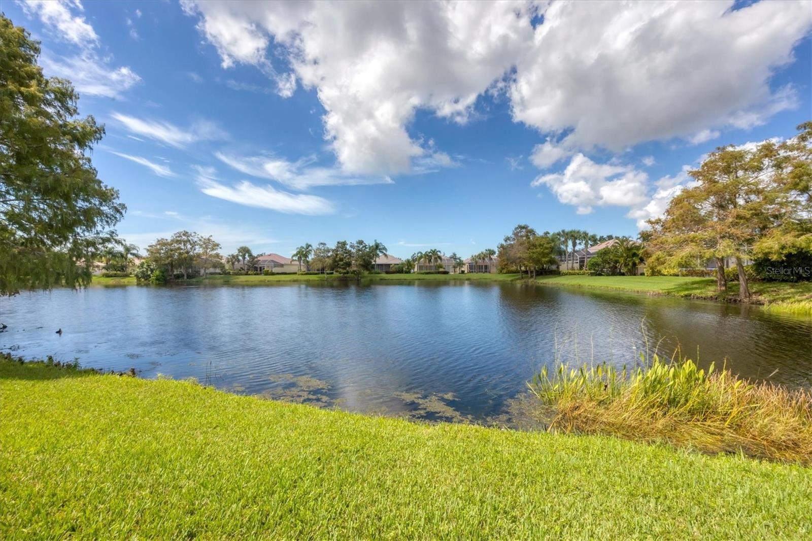 7708 CAMMINARE DR