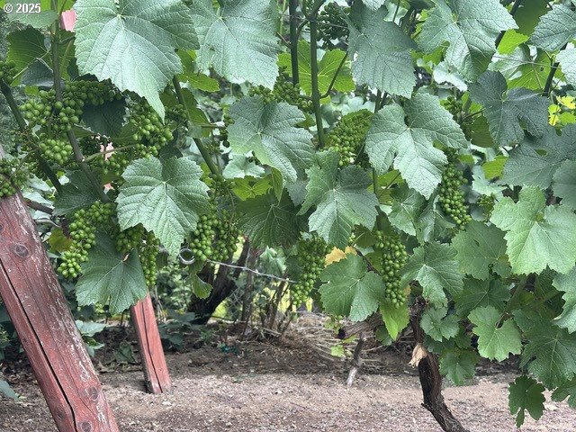 7695 SW BRENTWOOD ST