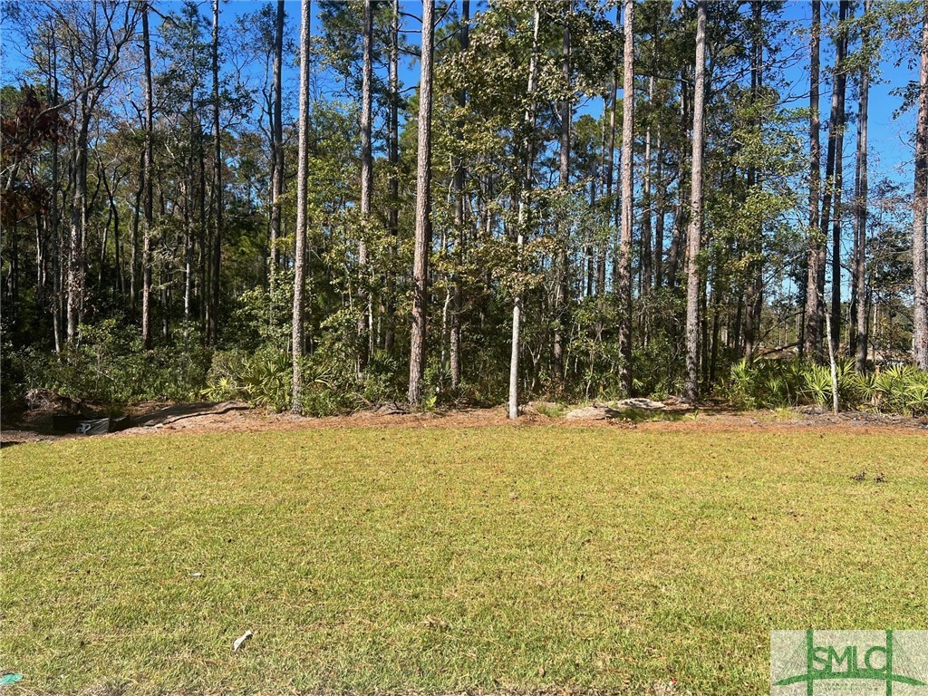 343 Mandeville Drive