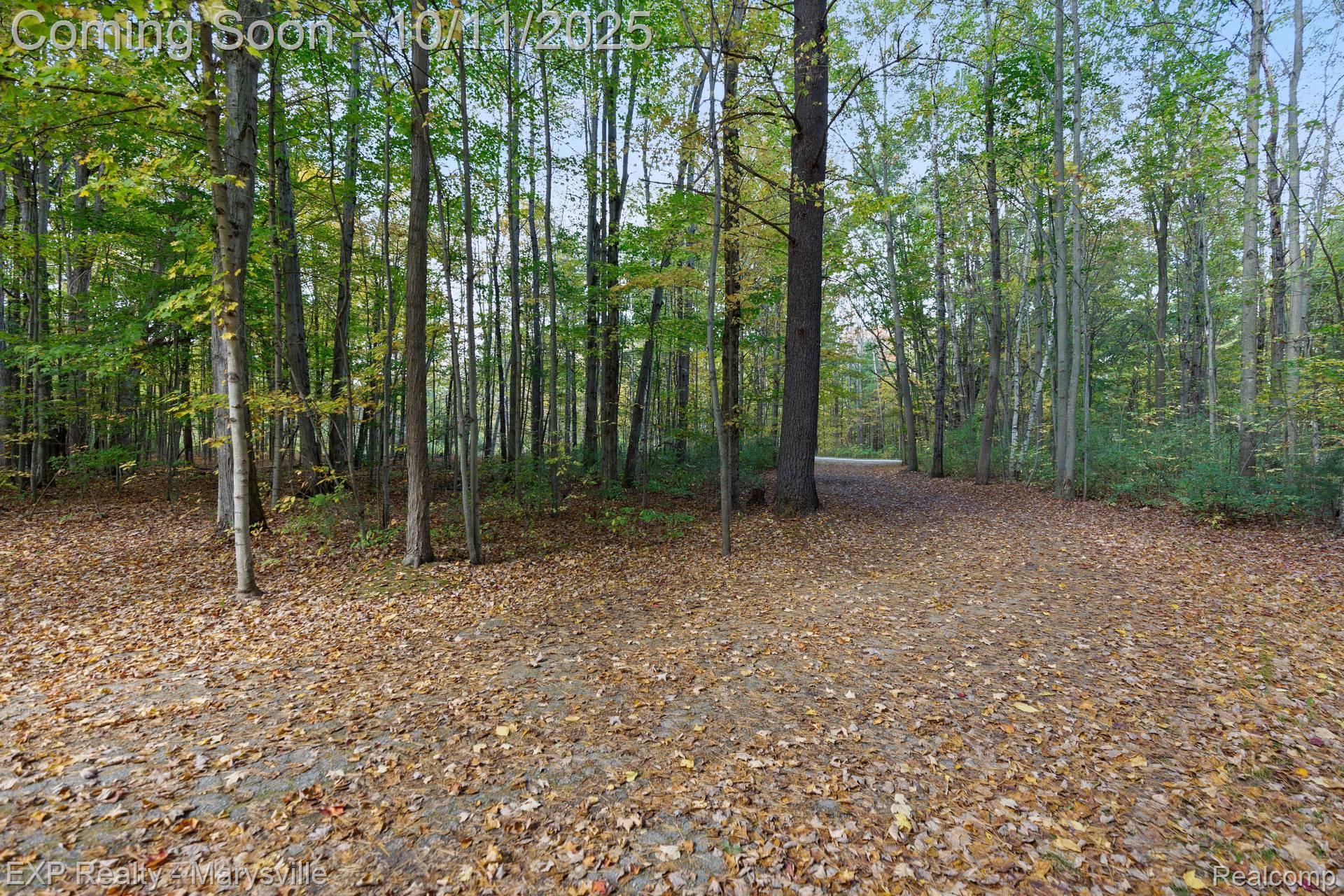 7187 Phillips Road