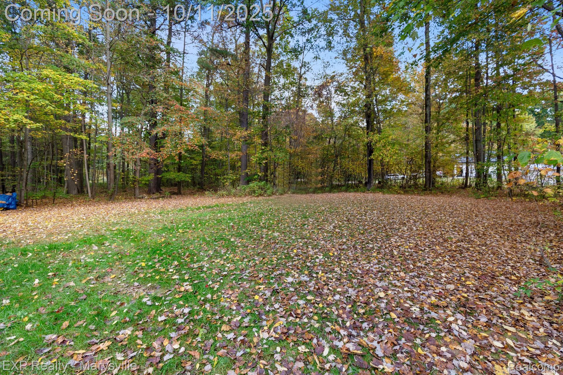 7187 Phillips Road