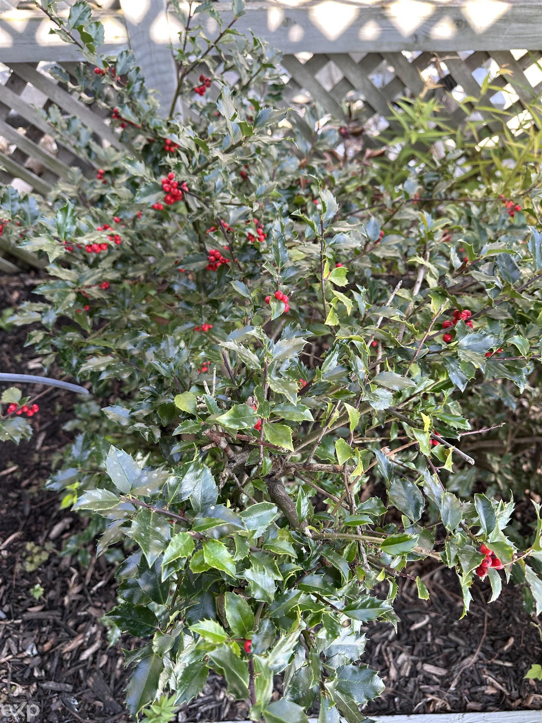 3830 Military Street