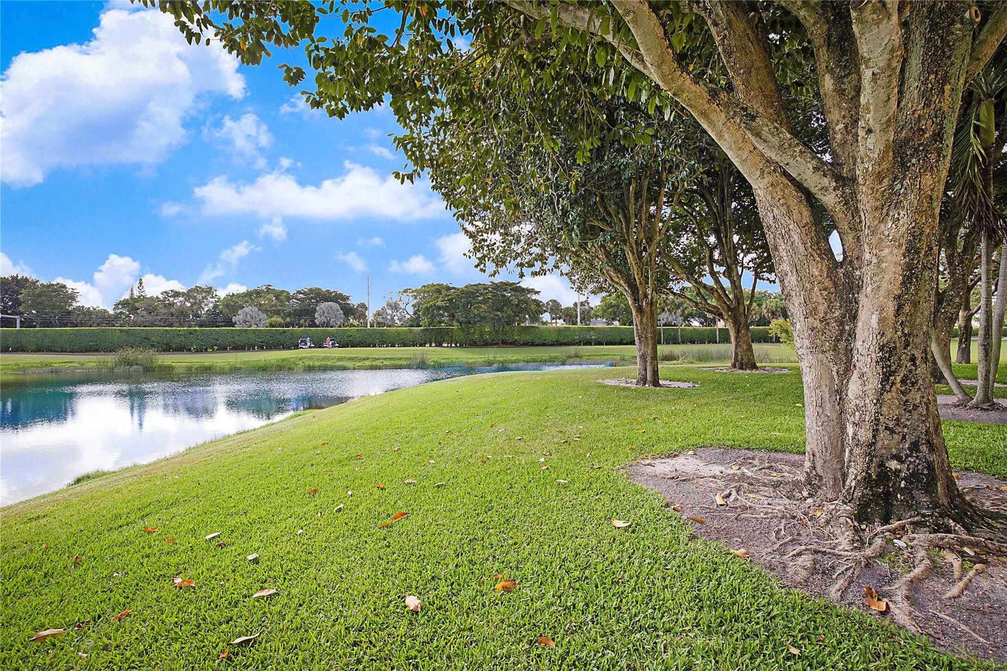 7186 Promenade Drive 101