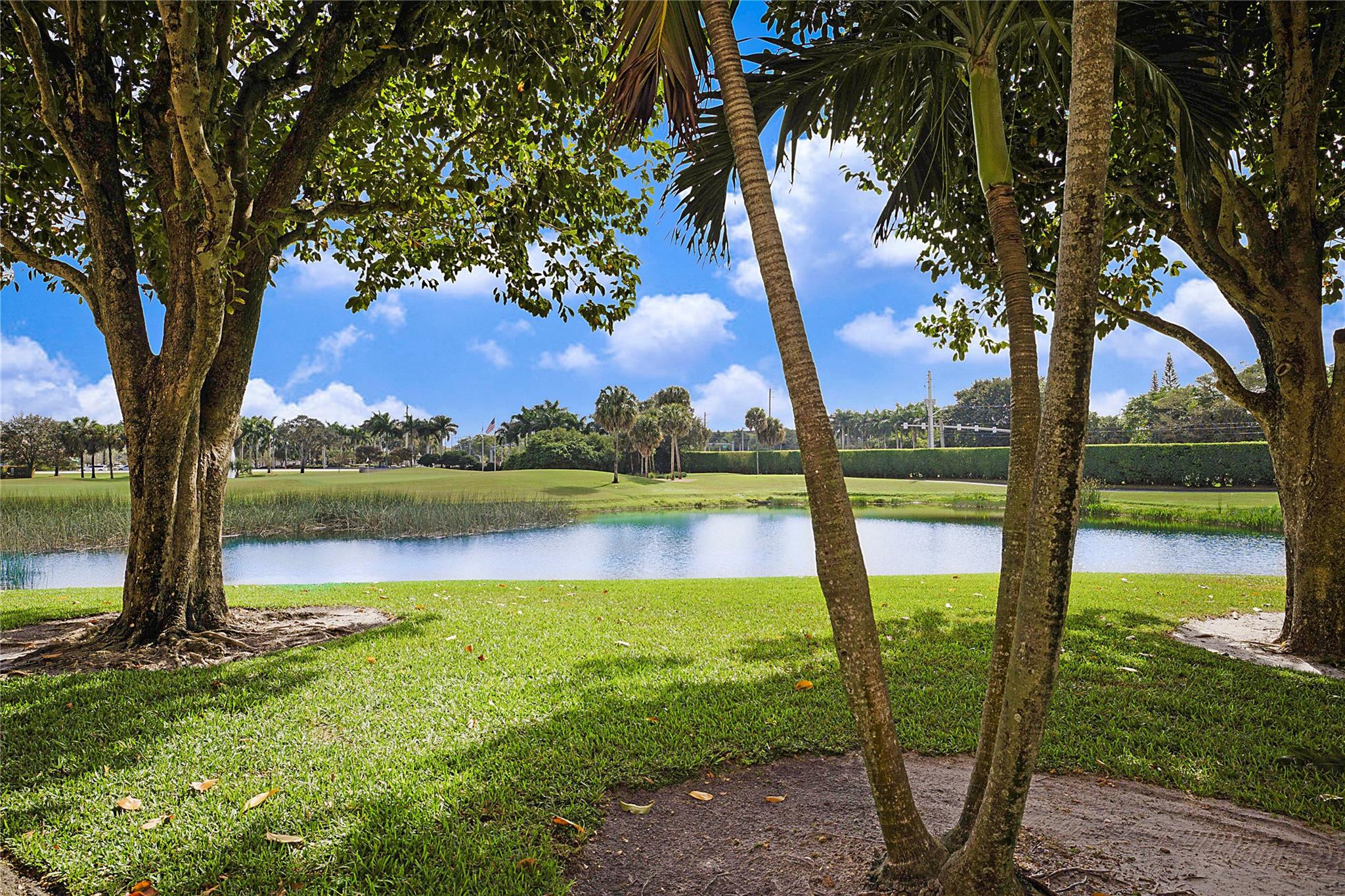 7186 Promenade Drive 101