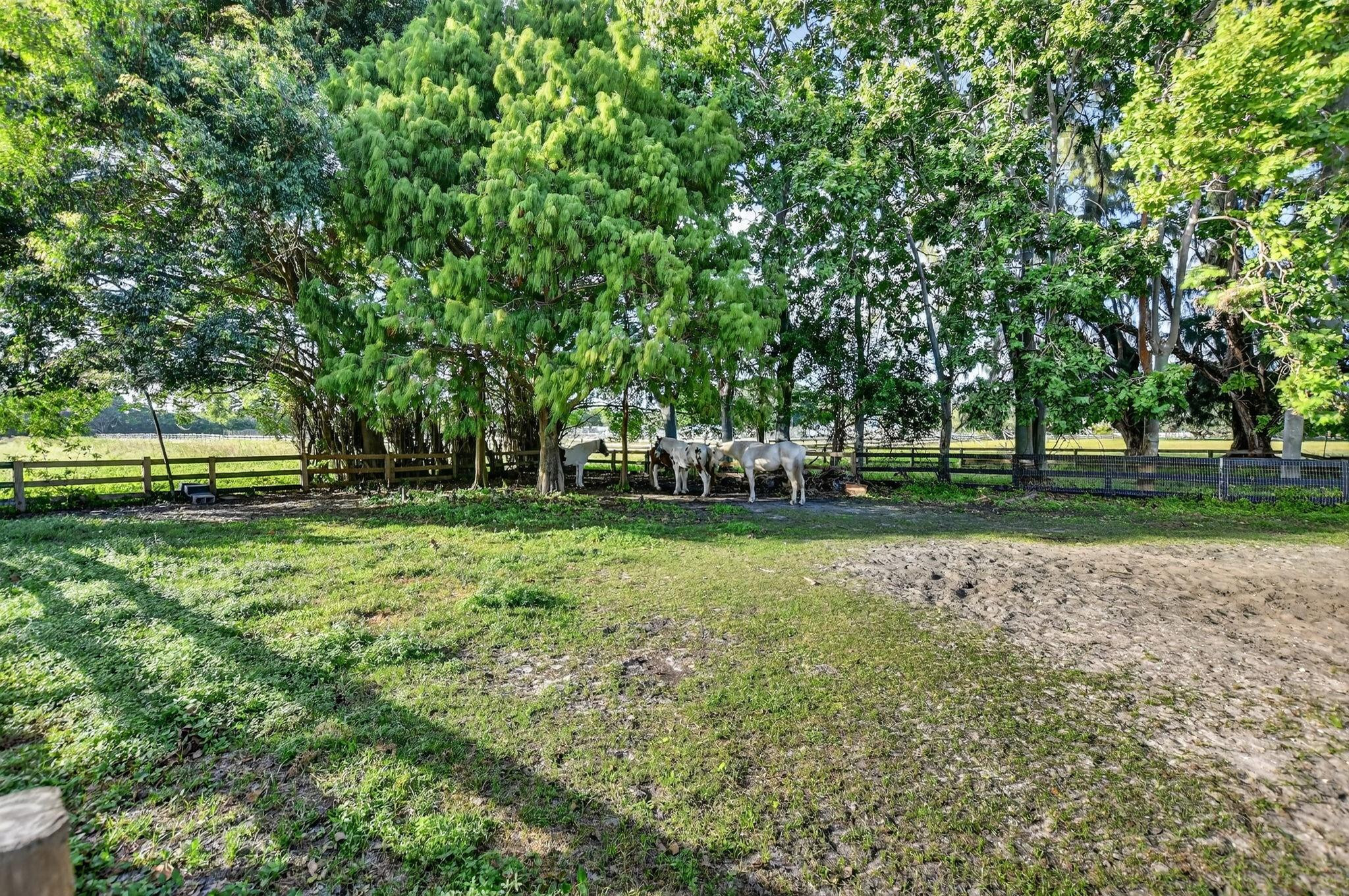 8233 Stagecoach Lane