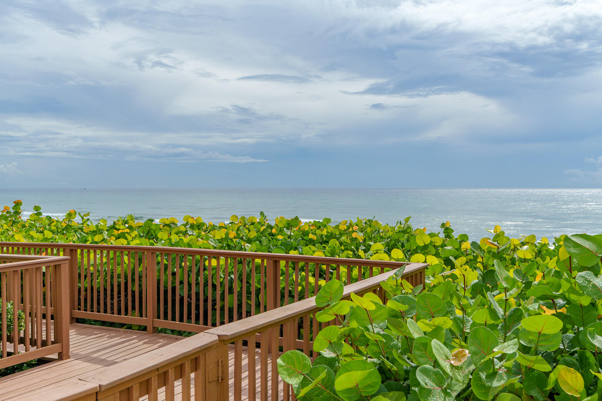 3555 S Ocean Boulevard 311