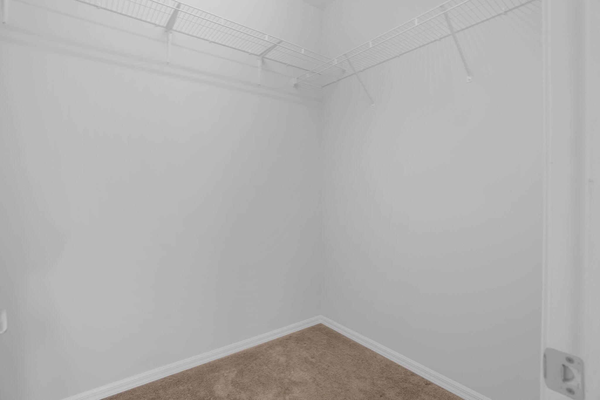 8296 Vaulting Drive