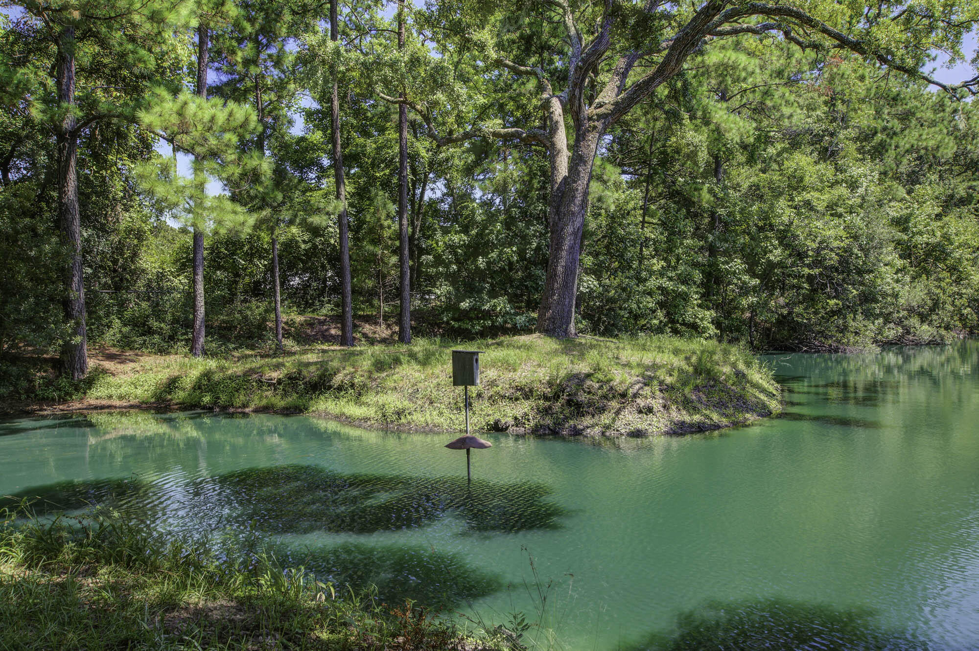 1150 Chandler Road