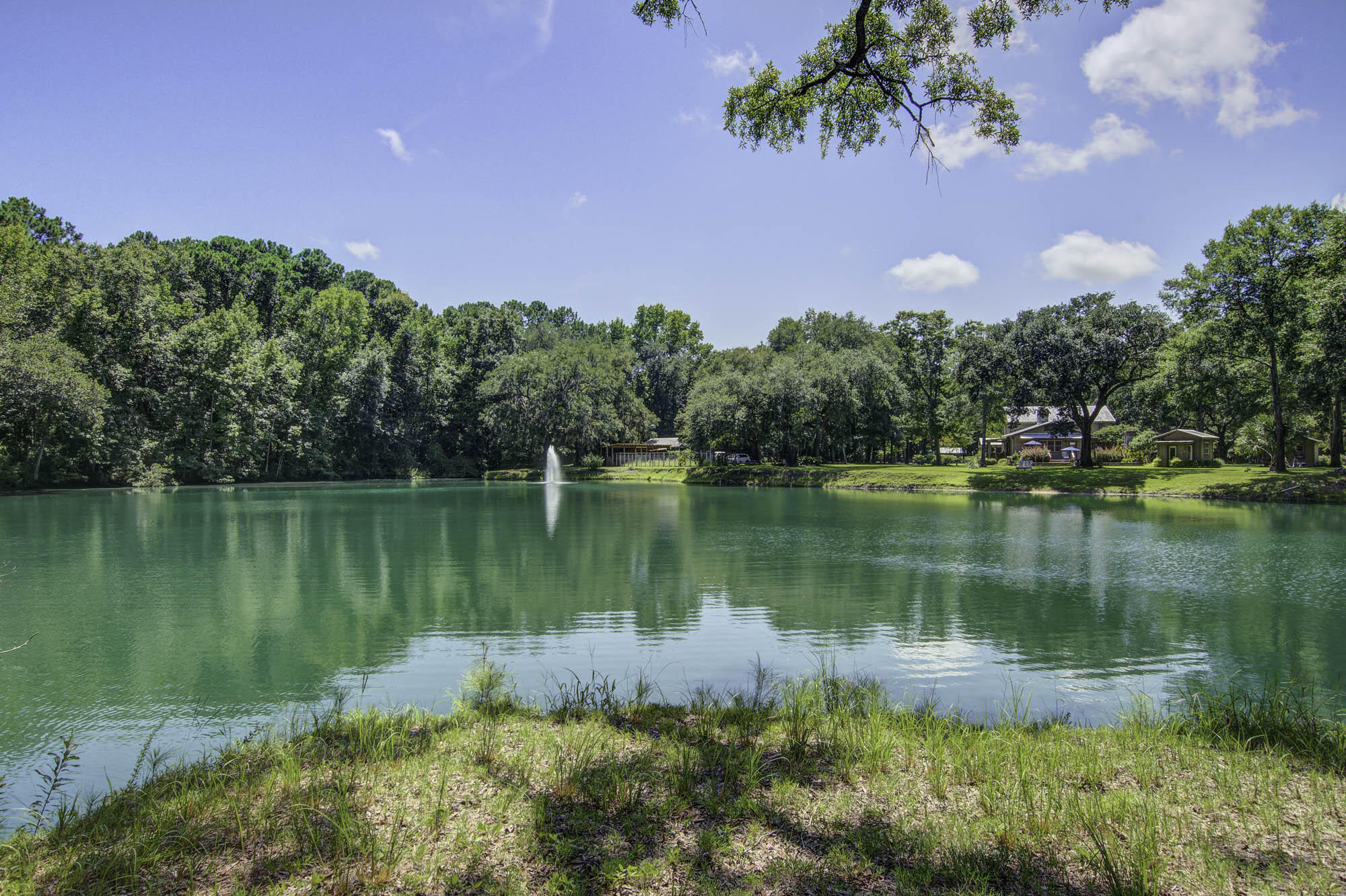 1150 Chandler Road