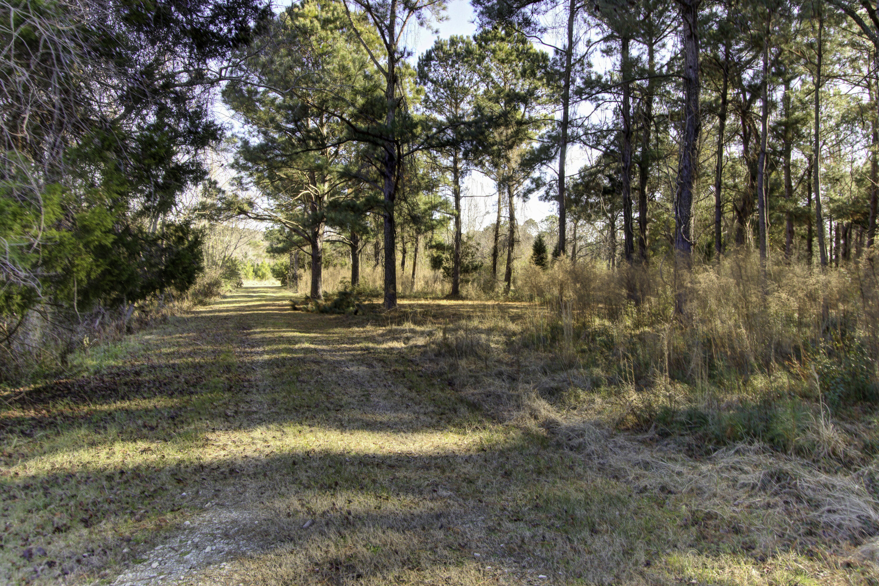 4 Morants Point Road, McClellanville