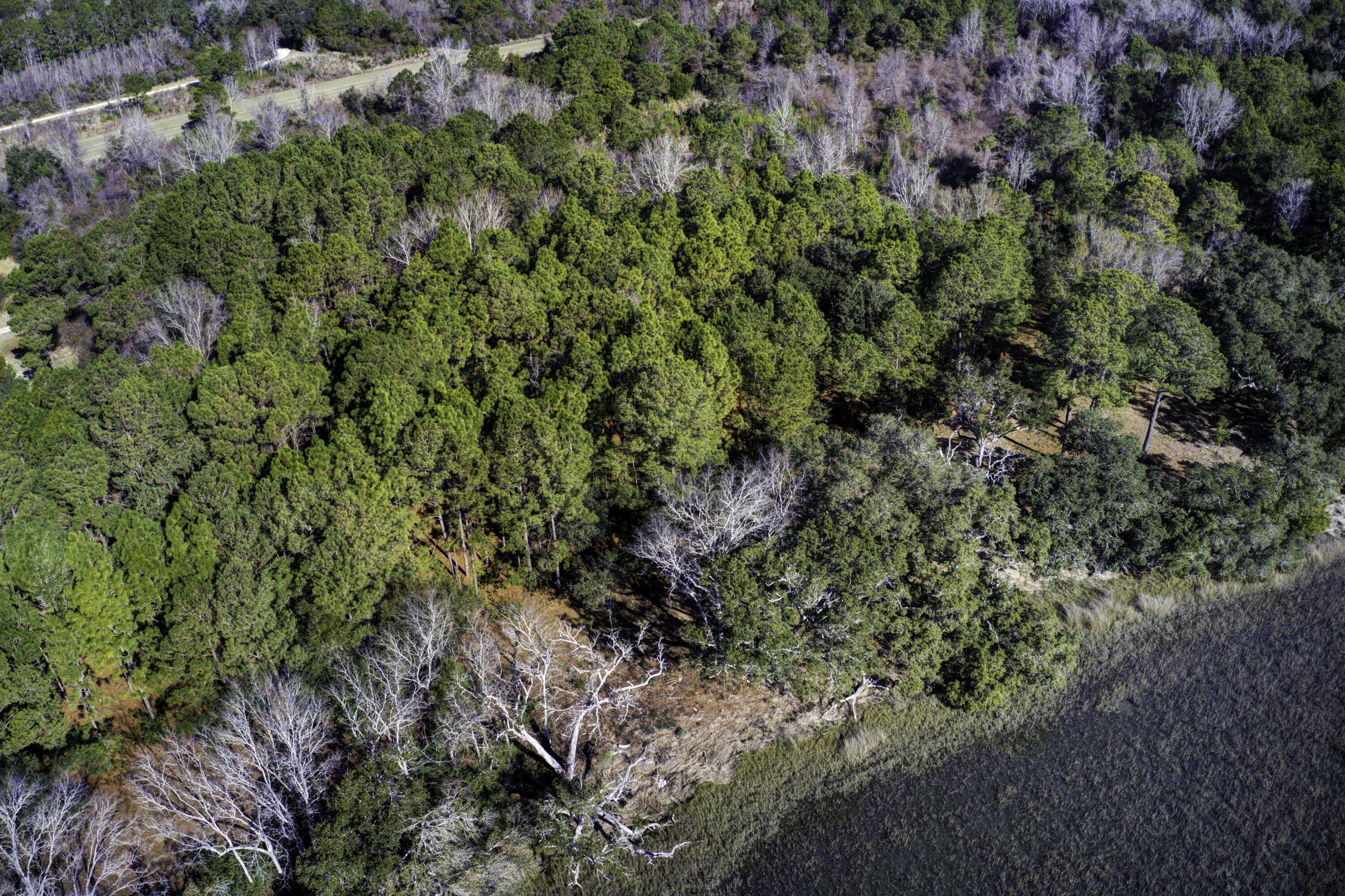 4 Morants Point Road, McClellanville