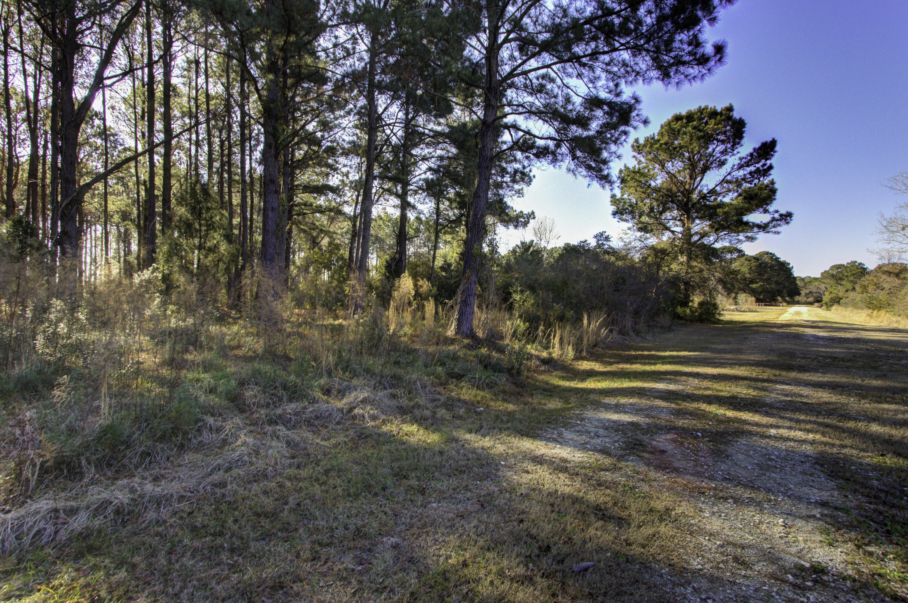 4 Morants Point Road, McClellanville