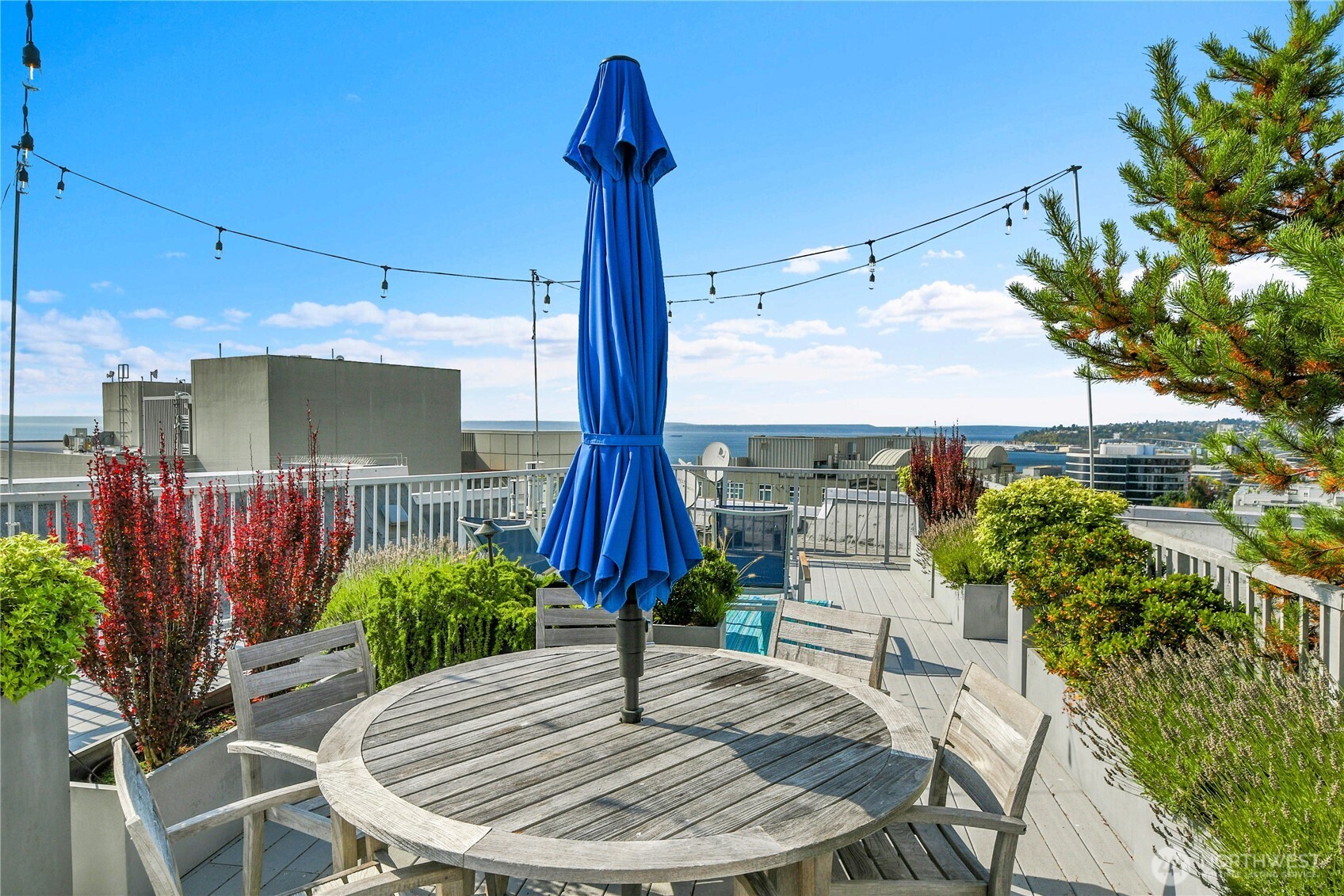 81 Clay Street Unit: 324