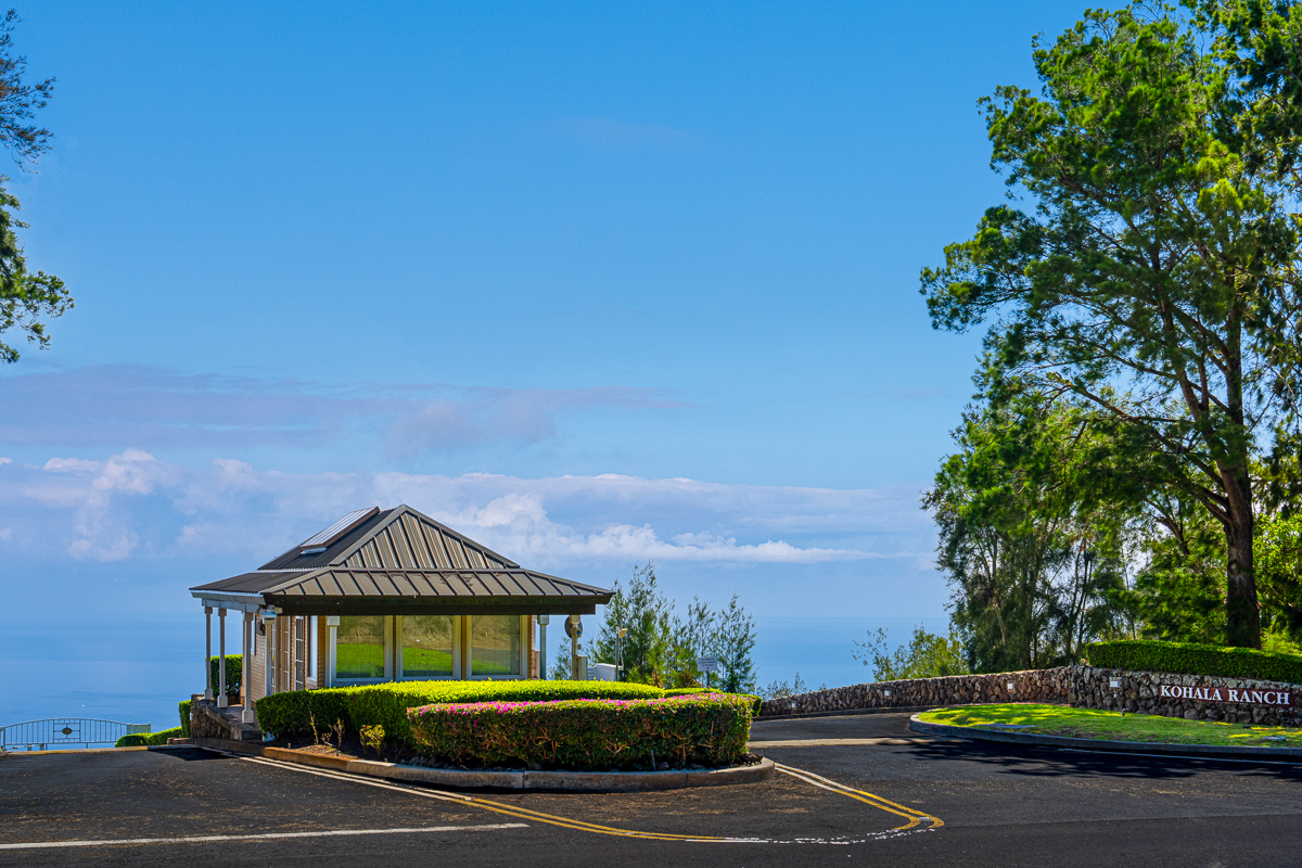 695 UALANI PL