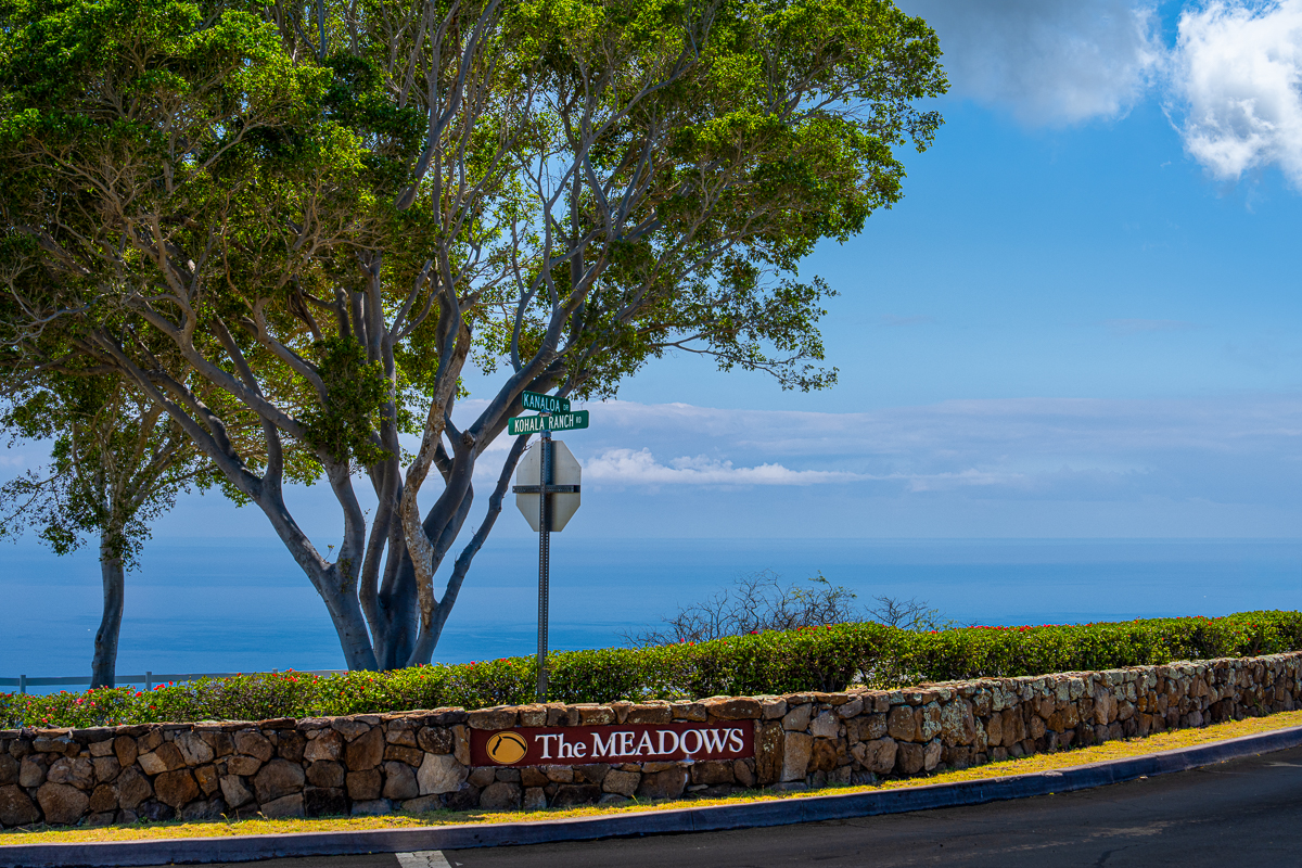 695 UALANI PL