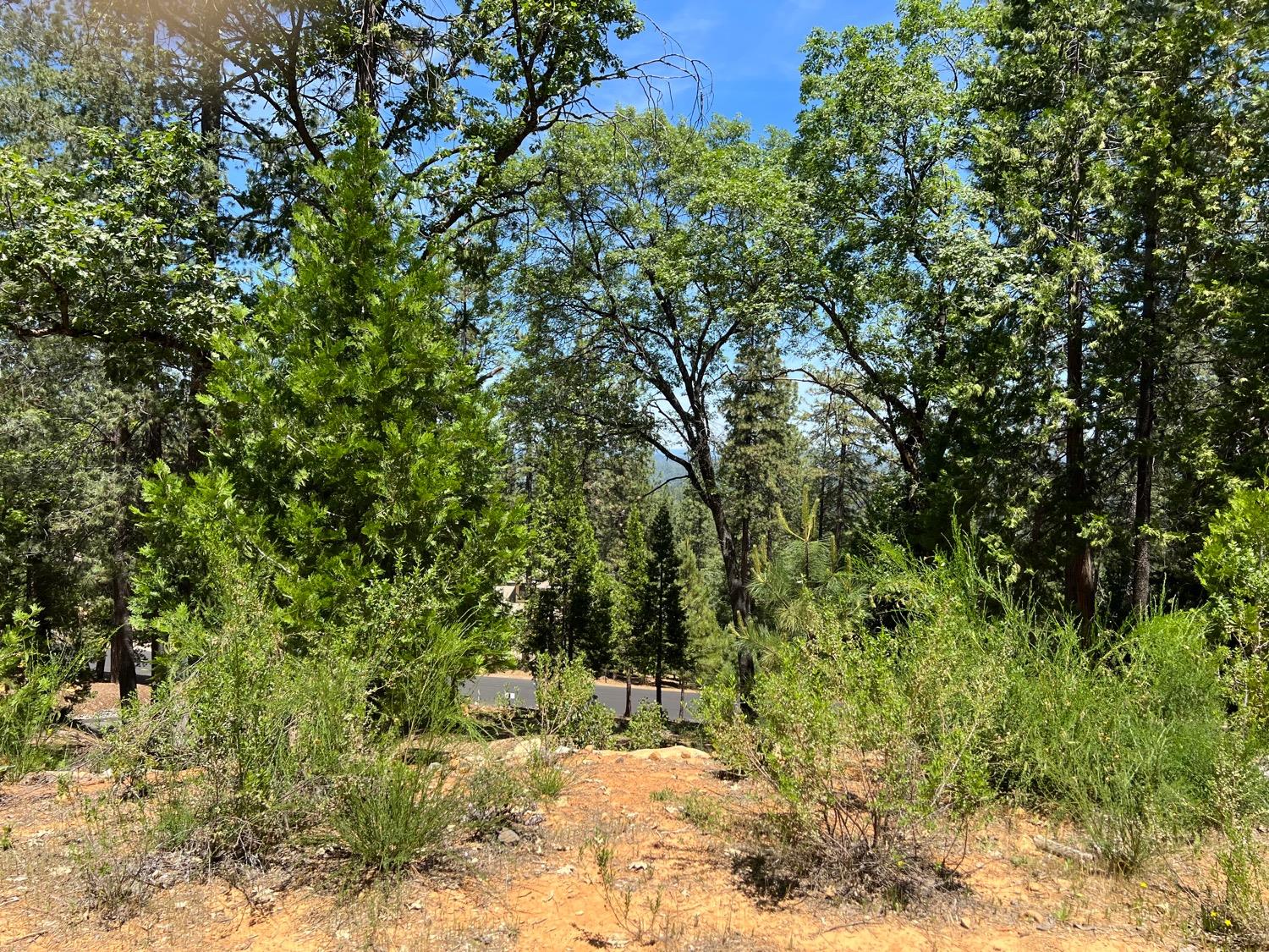 15065 Grand Knoll Drive