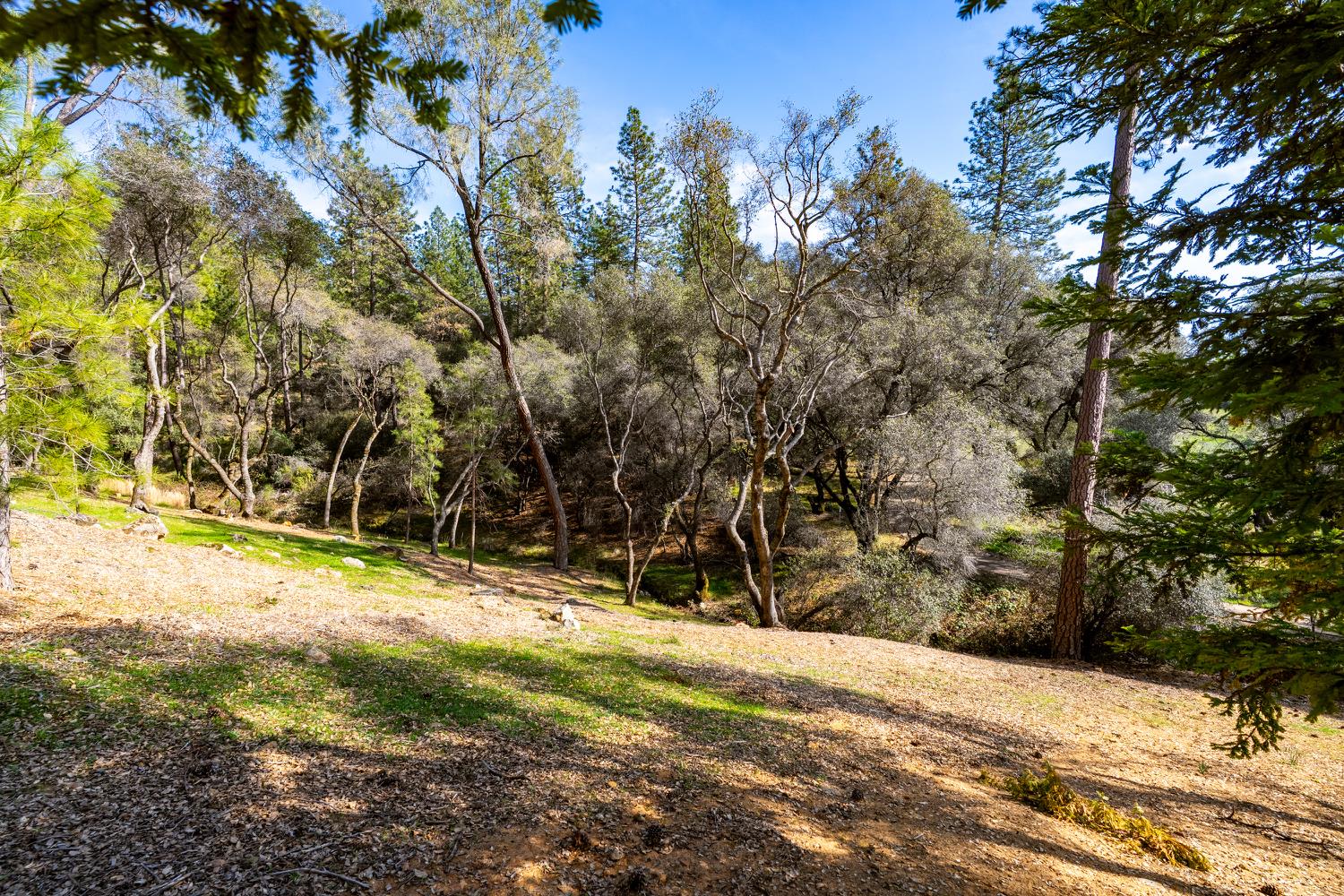 1461 Lodge View Drive