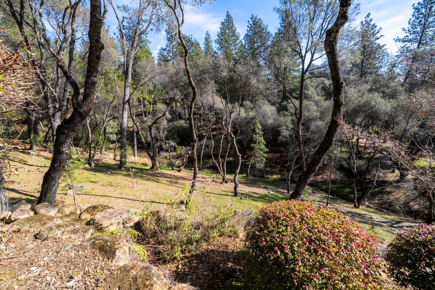 1461 Lodge View Drive