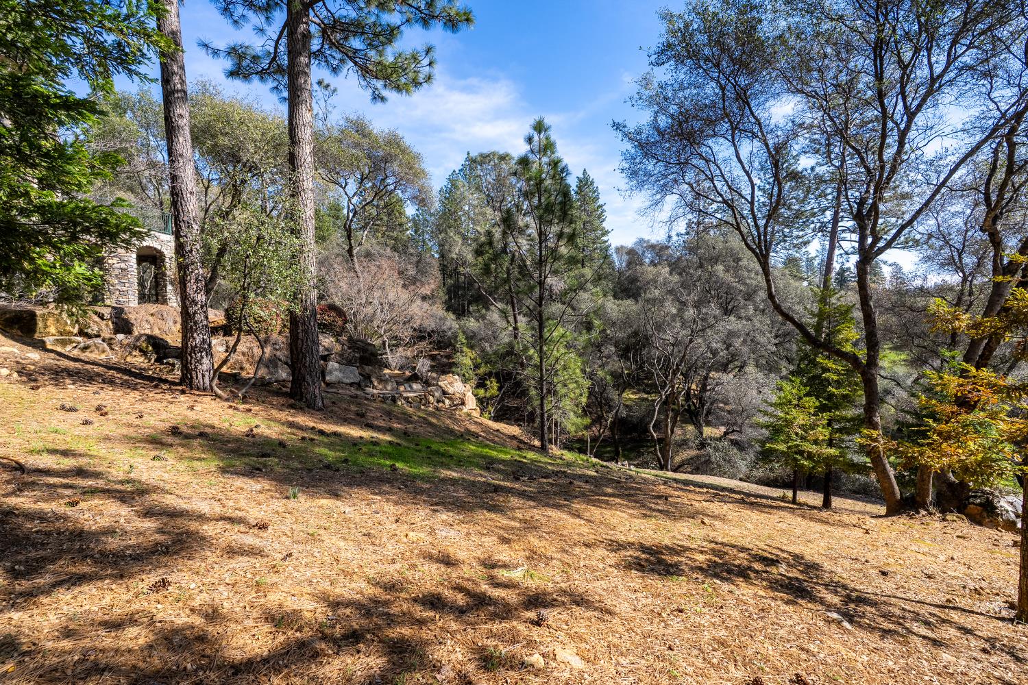 1461 Lodge View Drive