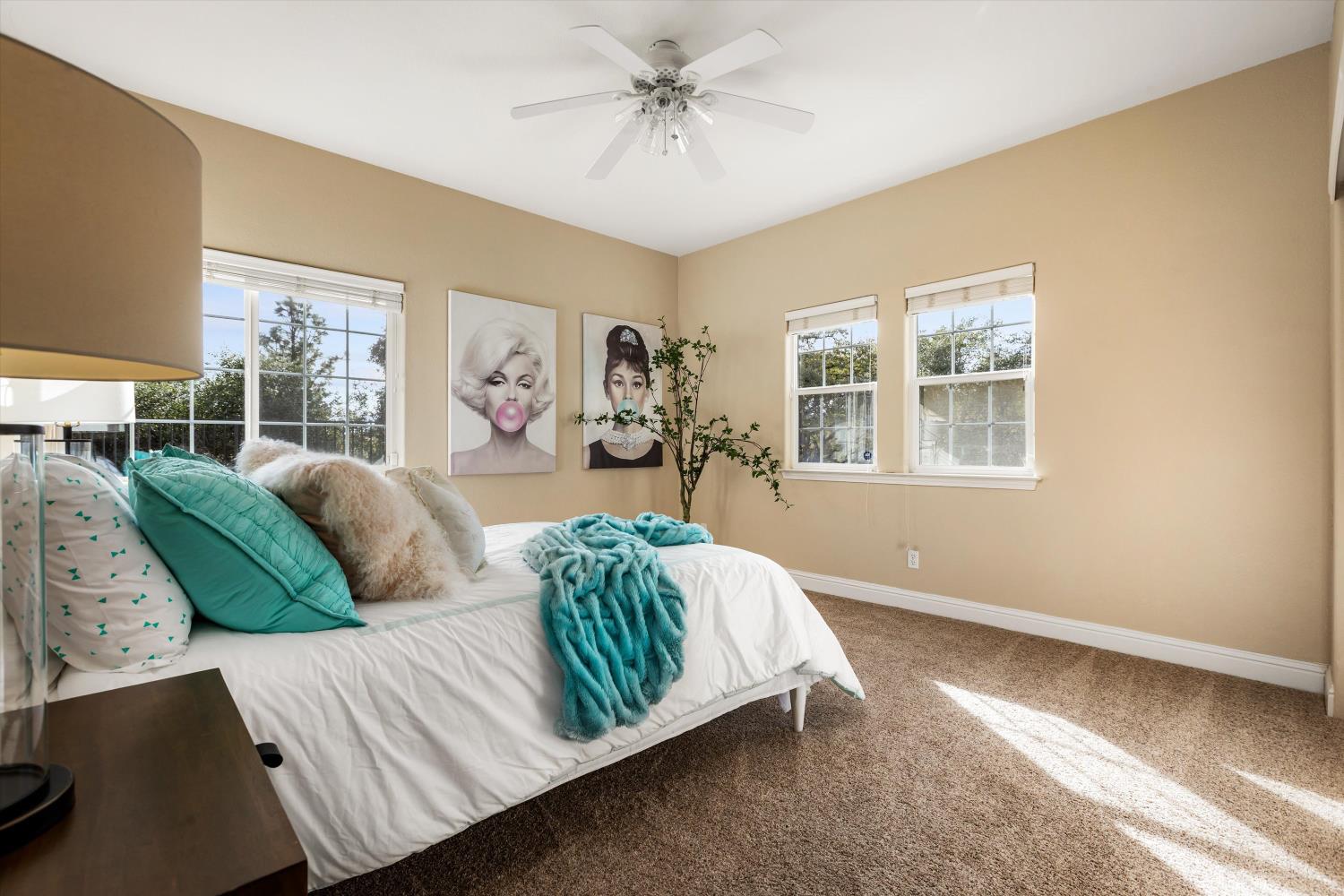 Furnished bedroom with turquoise bedding, beige carpet, and sunlight streaming through the windows.