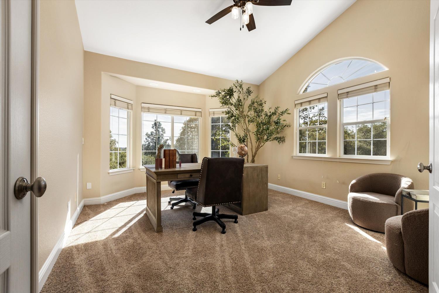 Furnished home office with a wooden desk, tall windows, and an arched-top window.