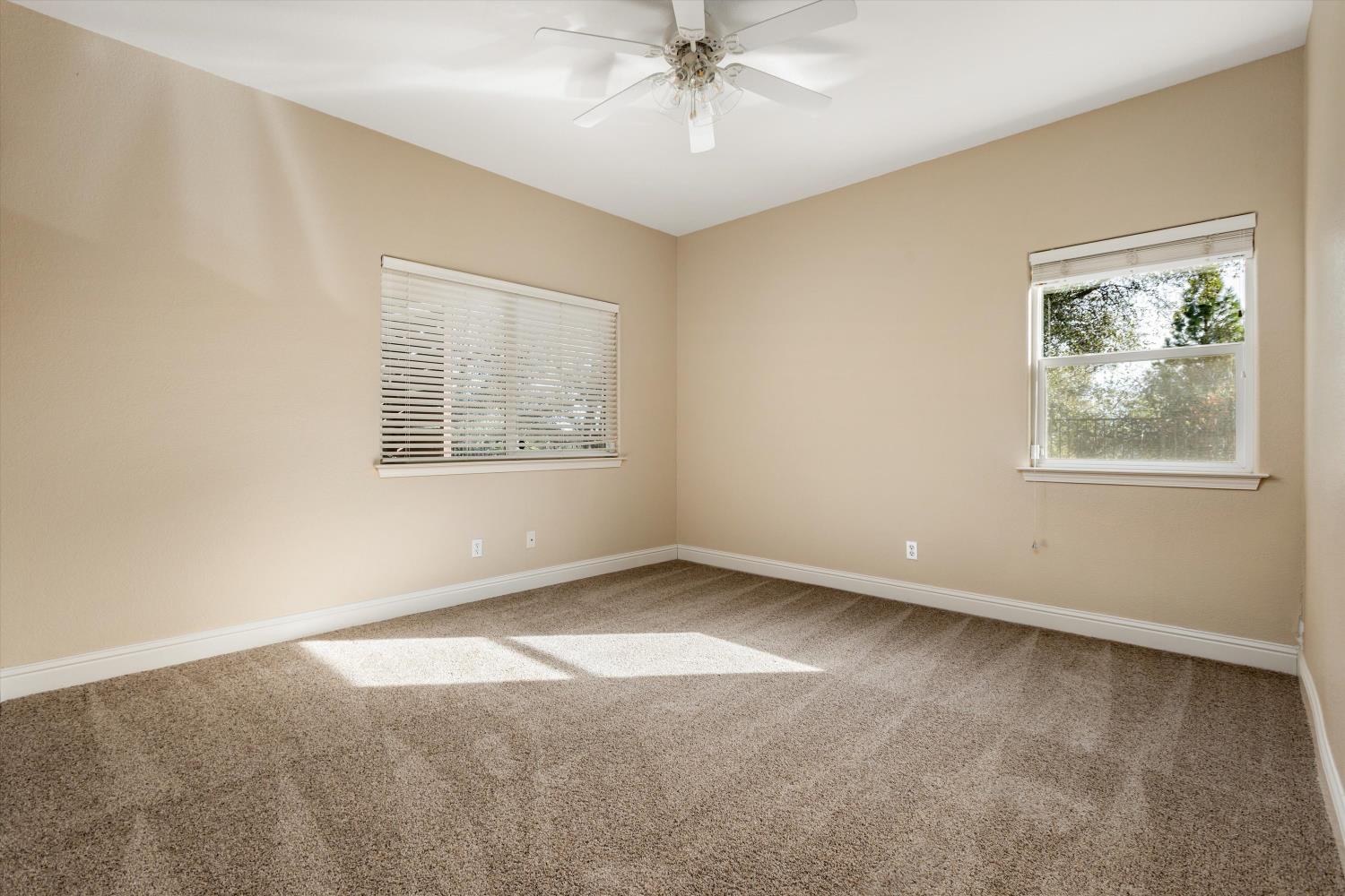 Empty bedroom with tan carpet, two windows, and a ceiling fan.