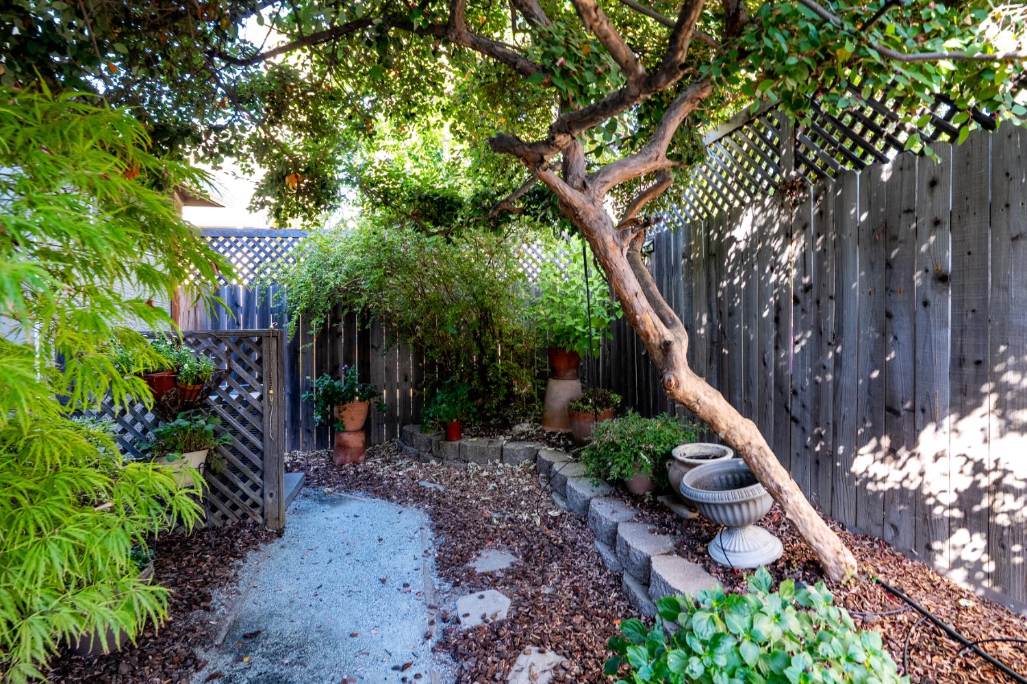 Shaded backyard garden with a gravel path, mature tree, potted plants, and wooden privacy fence.