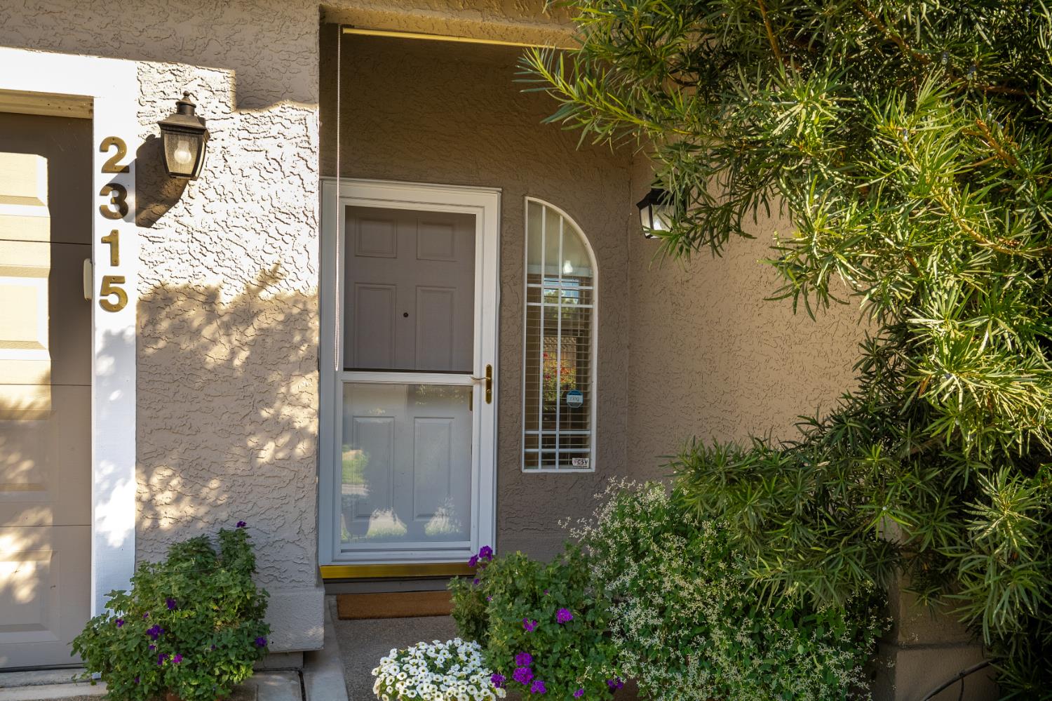 Home entrance with a gray screen door, arched window, and flowering shrubs.