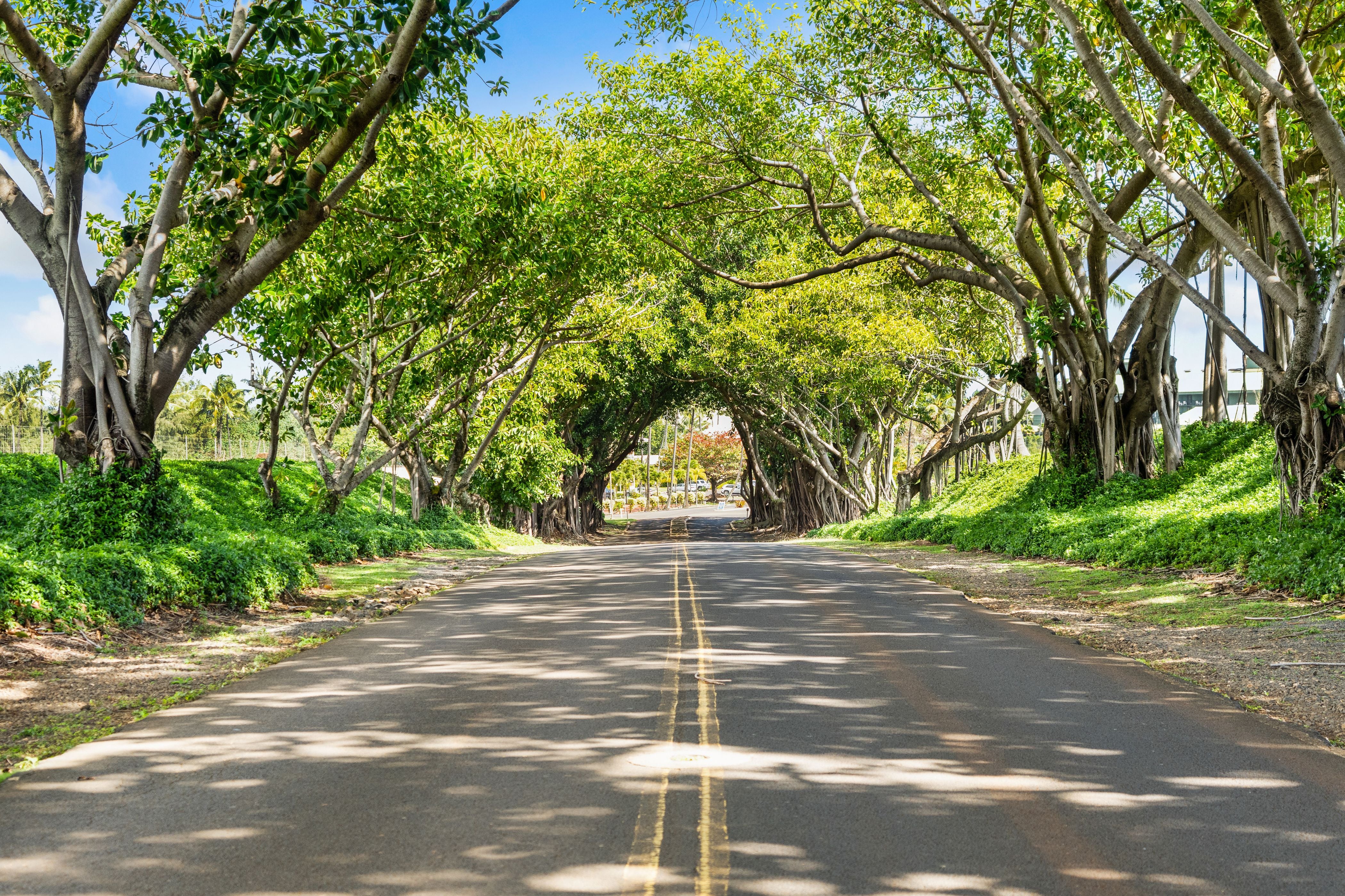 4331 KAUAI BEACH DR 3124