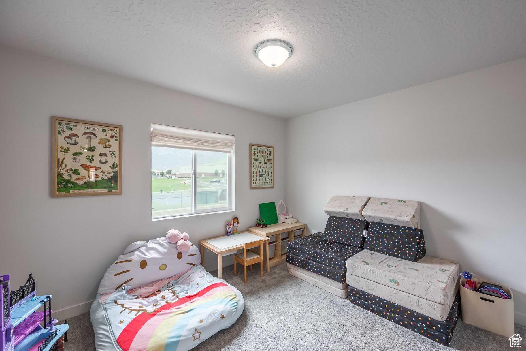 4924 W WILLOWSTONE DR