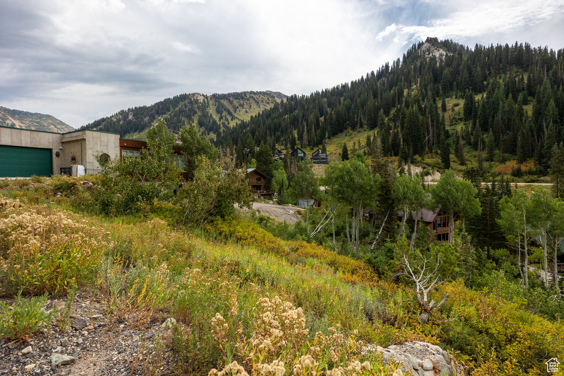 9876 E LITTLE COTTONWOOD CYN