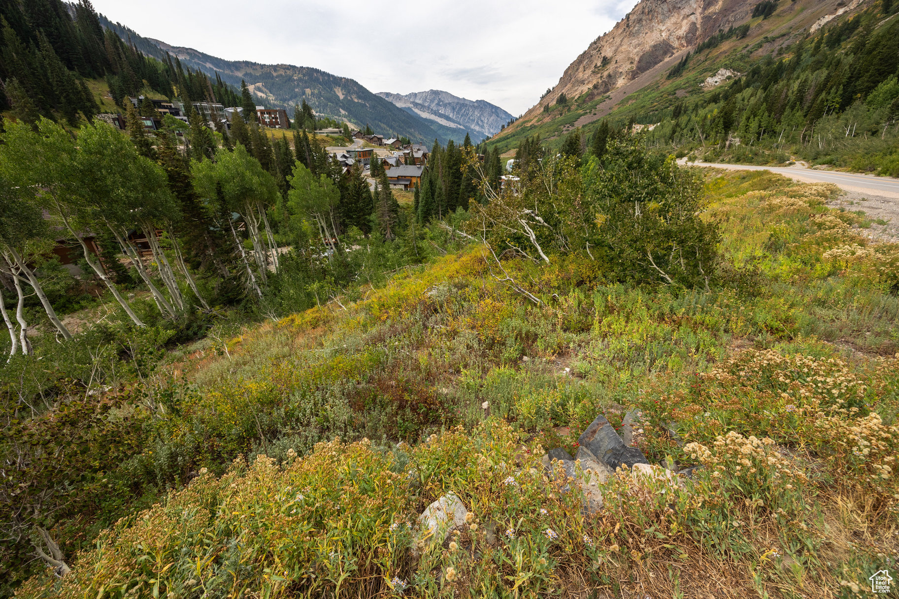 9876 E LITTLE COTTONWOOD CYN