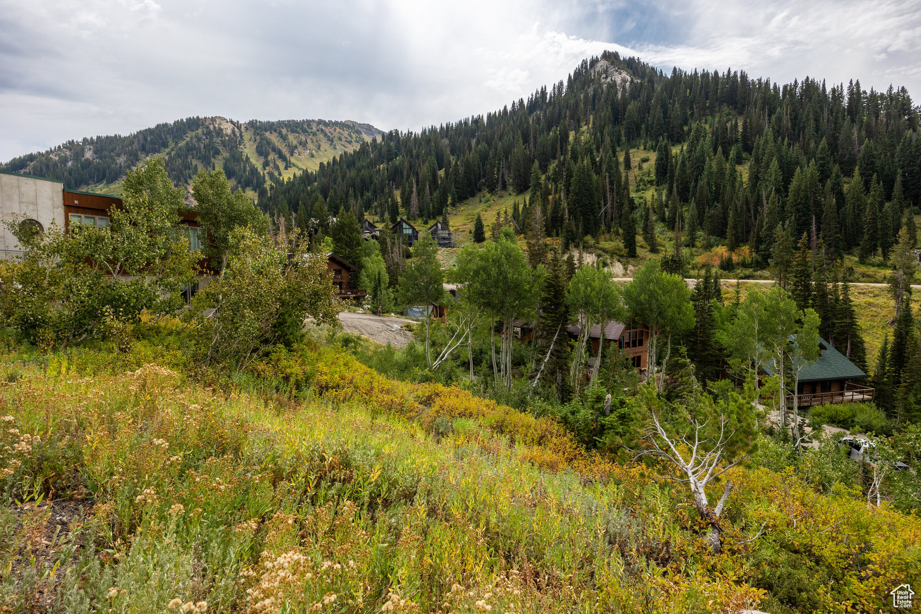9876 E LITTLE COTTONWOOD CYN