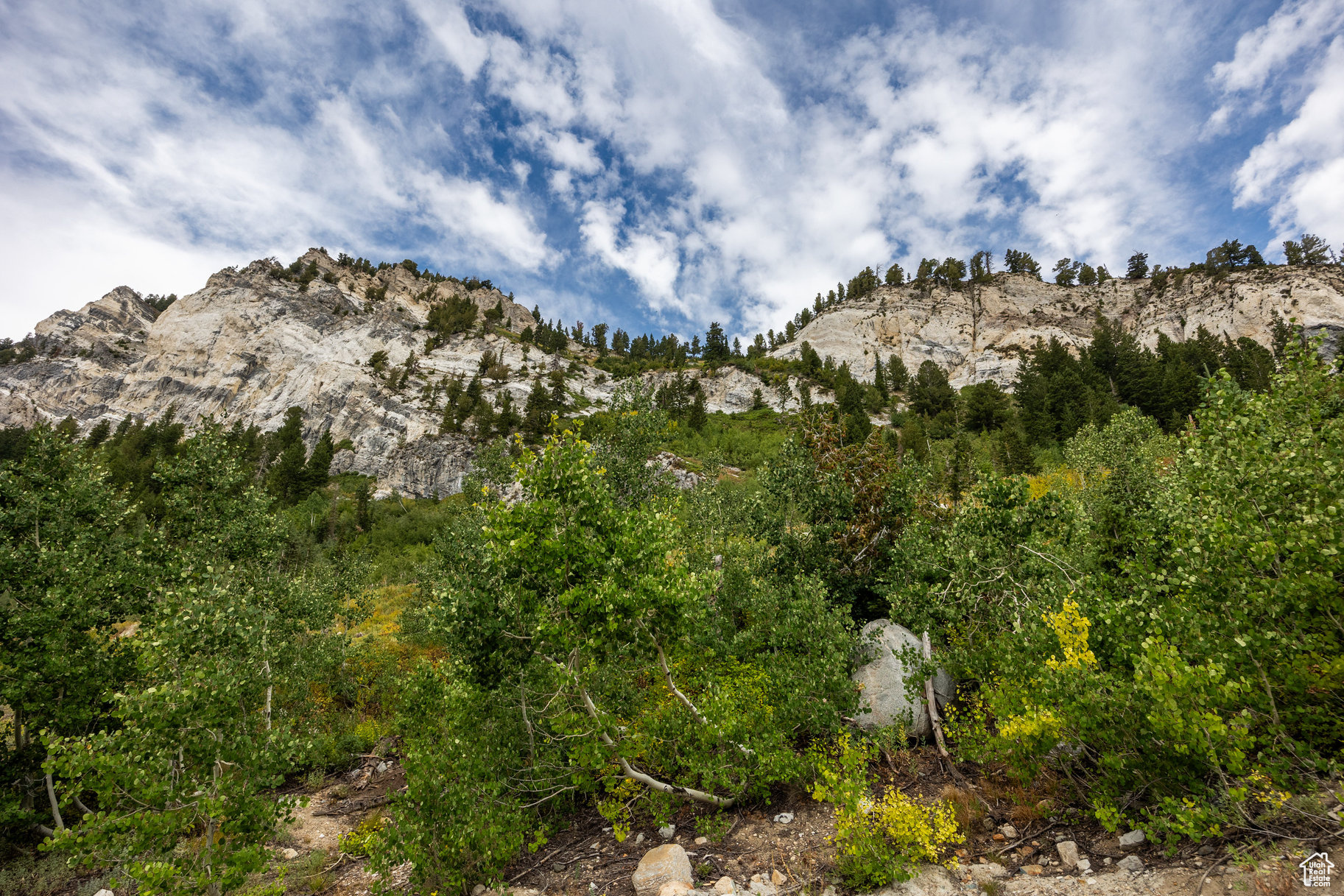 9876 E LITTLE COTTONWOOD CYN