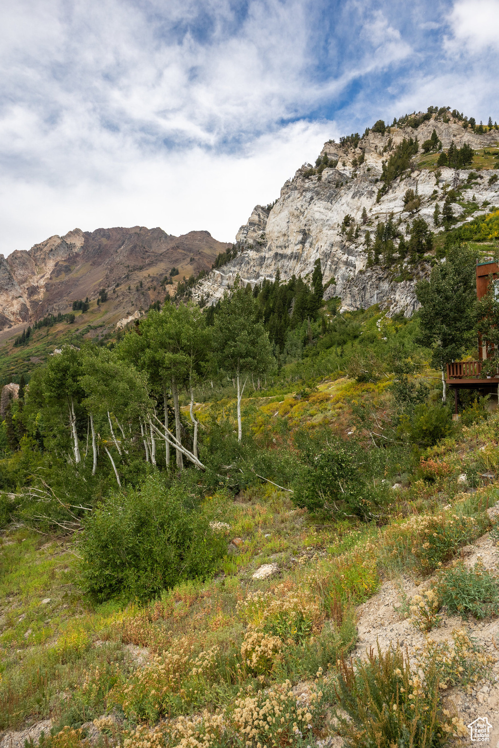 9876 E LITTLE COTTONWOOD CYN