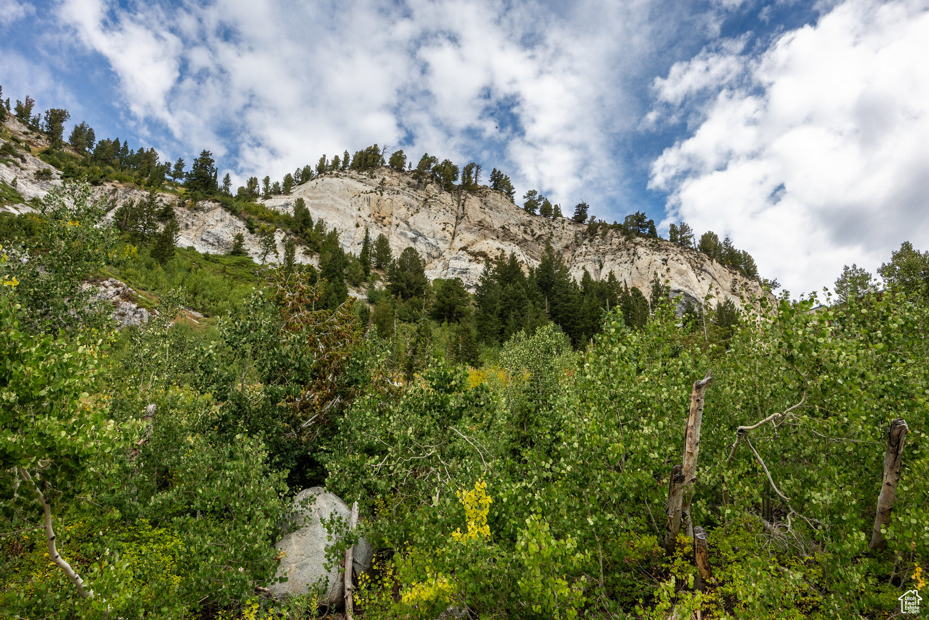 9876 E LITTLE COTTONWOOD CYN