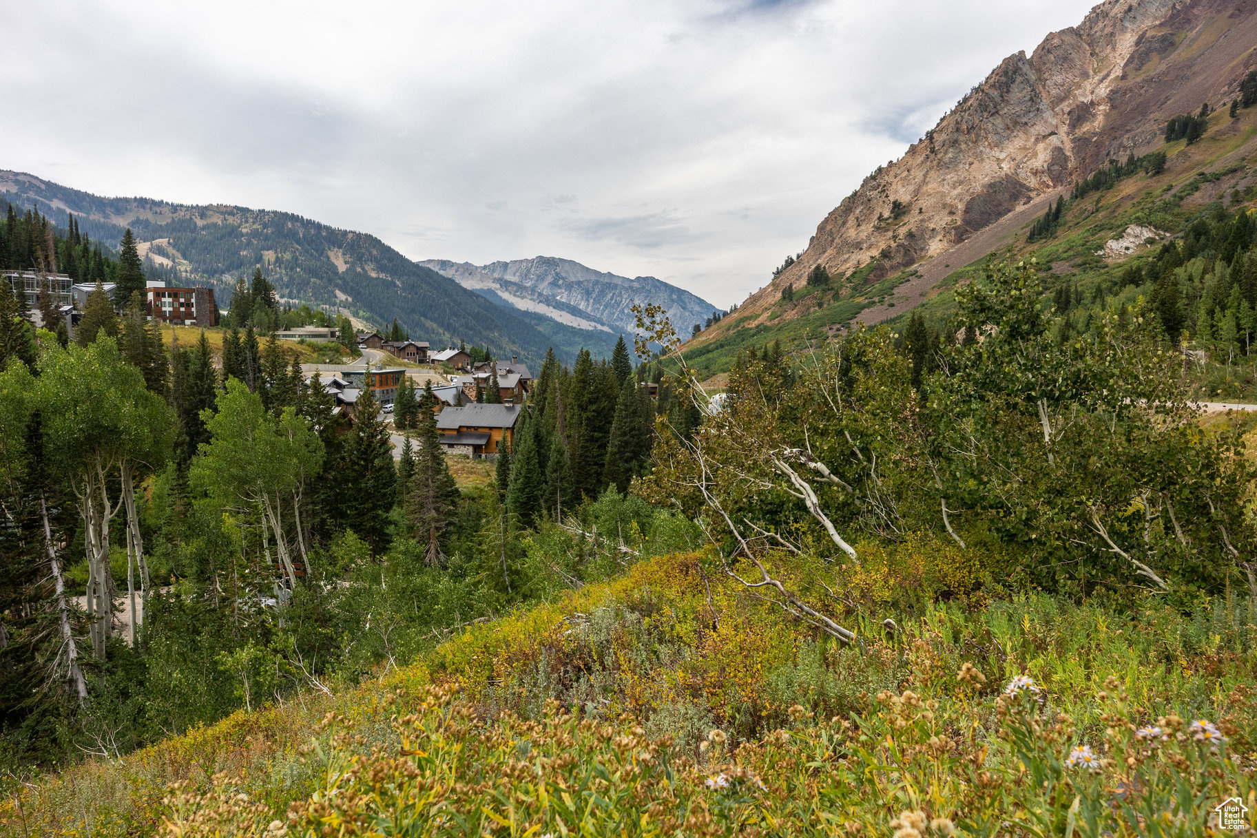 9876 E LITTLE COTTONWOOD CYN