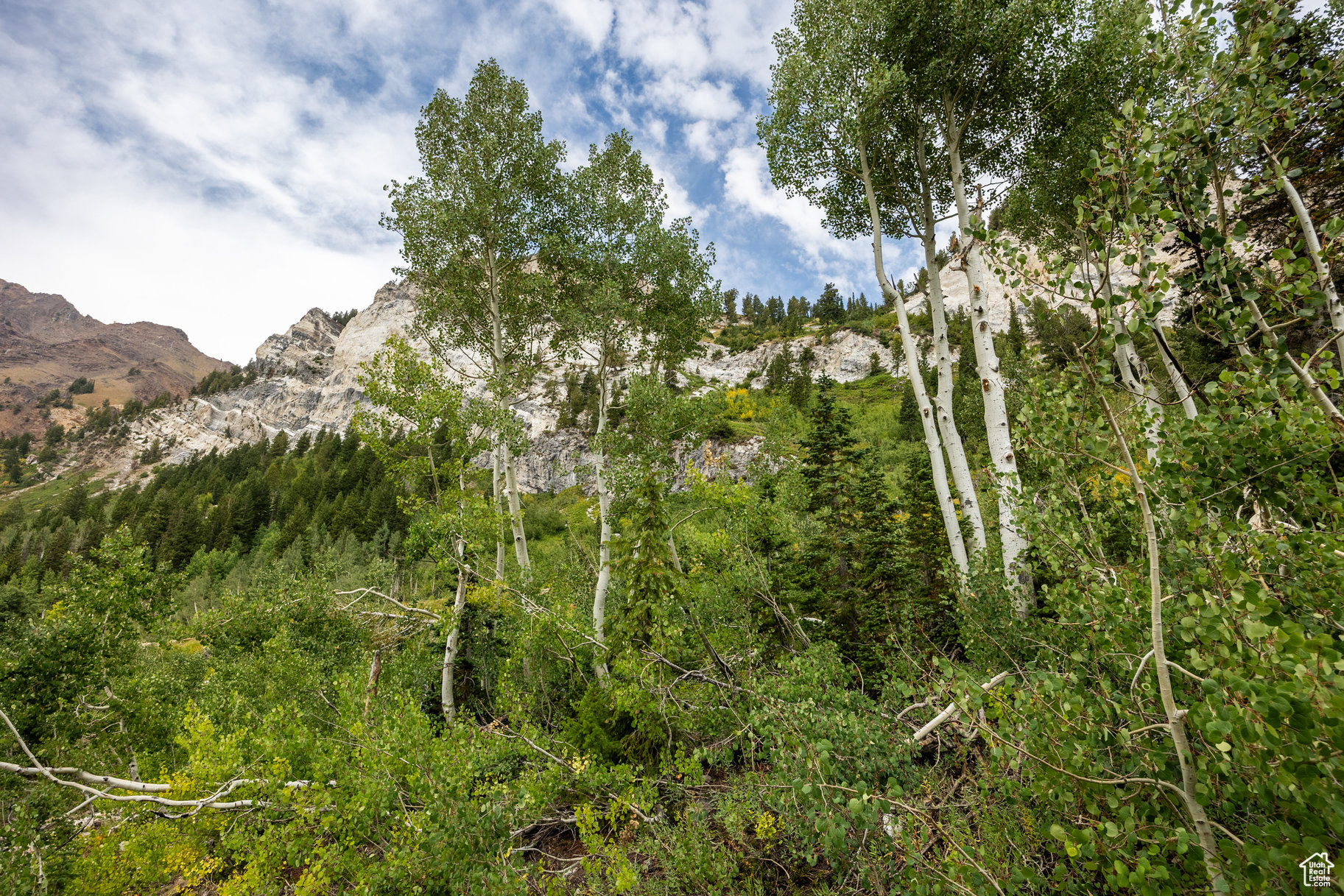 9876 E LITTLE COTTONWOOD CYN