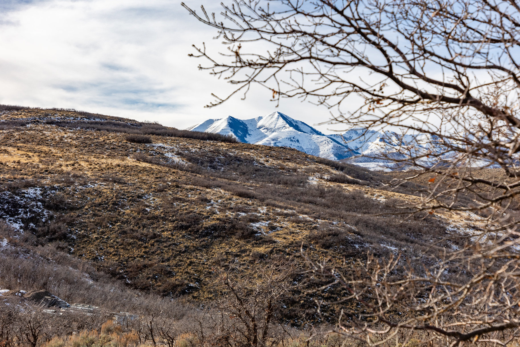 16080 S STEP VIEW LN