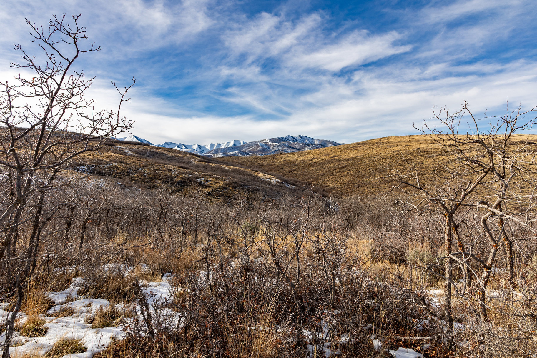 16080 S STEP VIEW LN