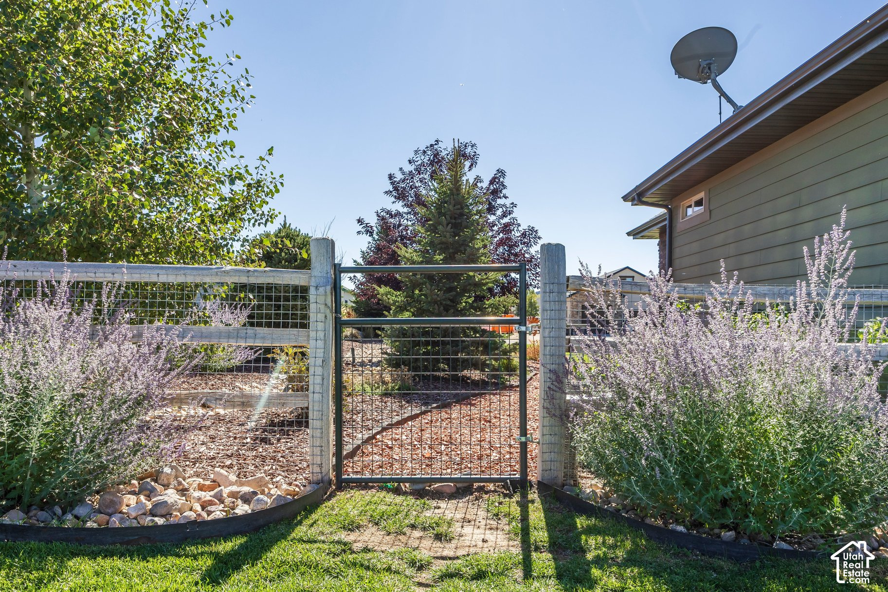 802 SPRUCE WAY