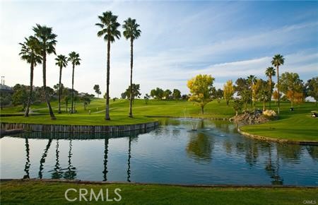 Golf course pond edged by palms, with the trees reflected in the water.