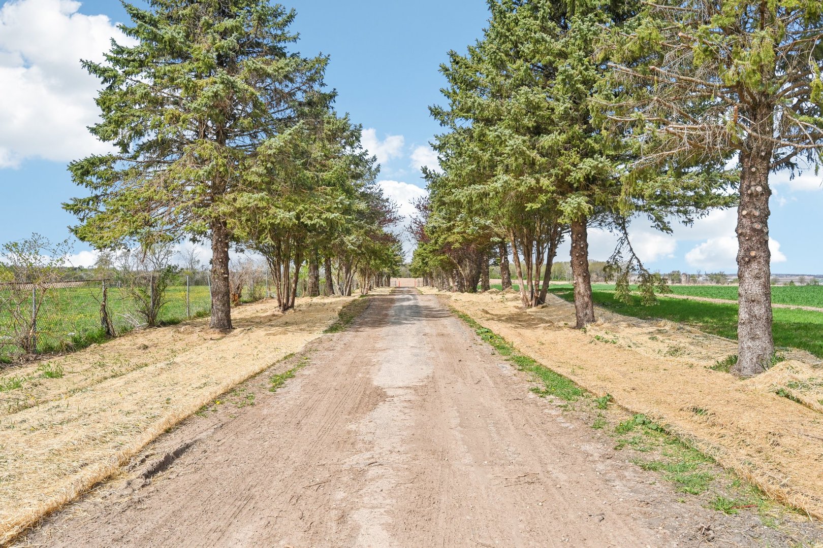 1406 Busse Road