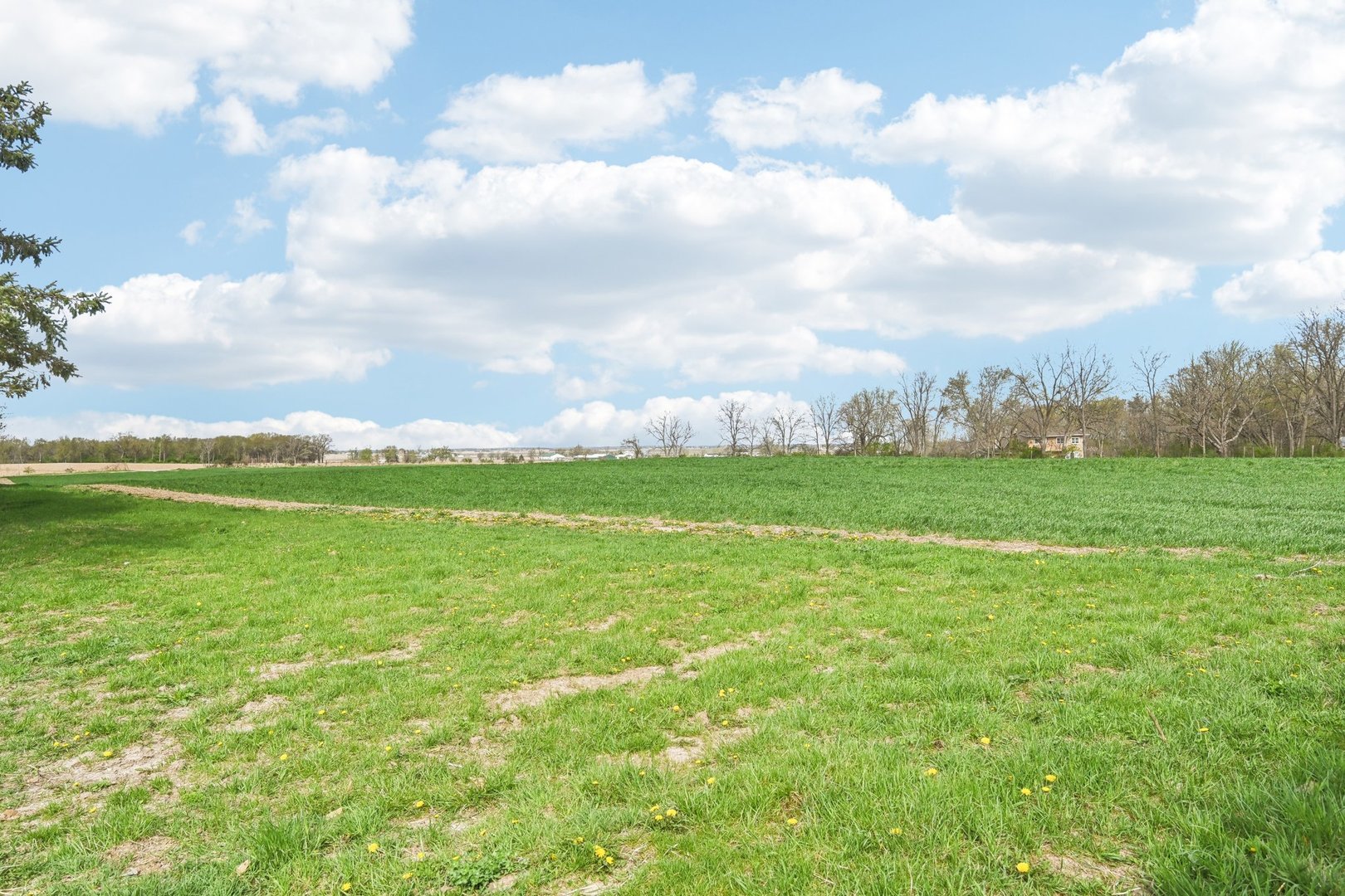 1406 Busse Road