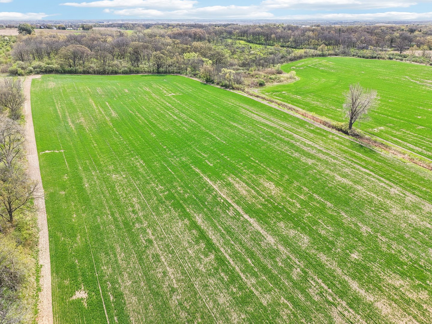 1406 Busse Road