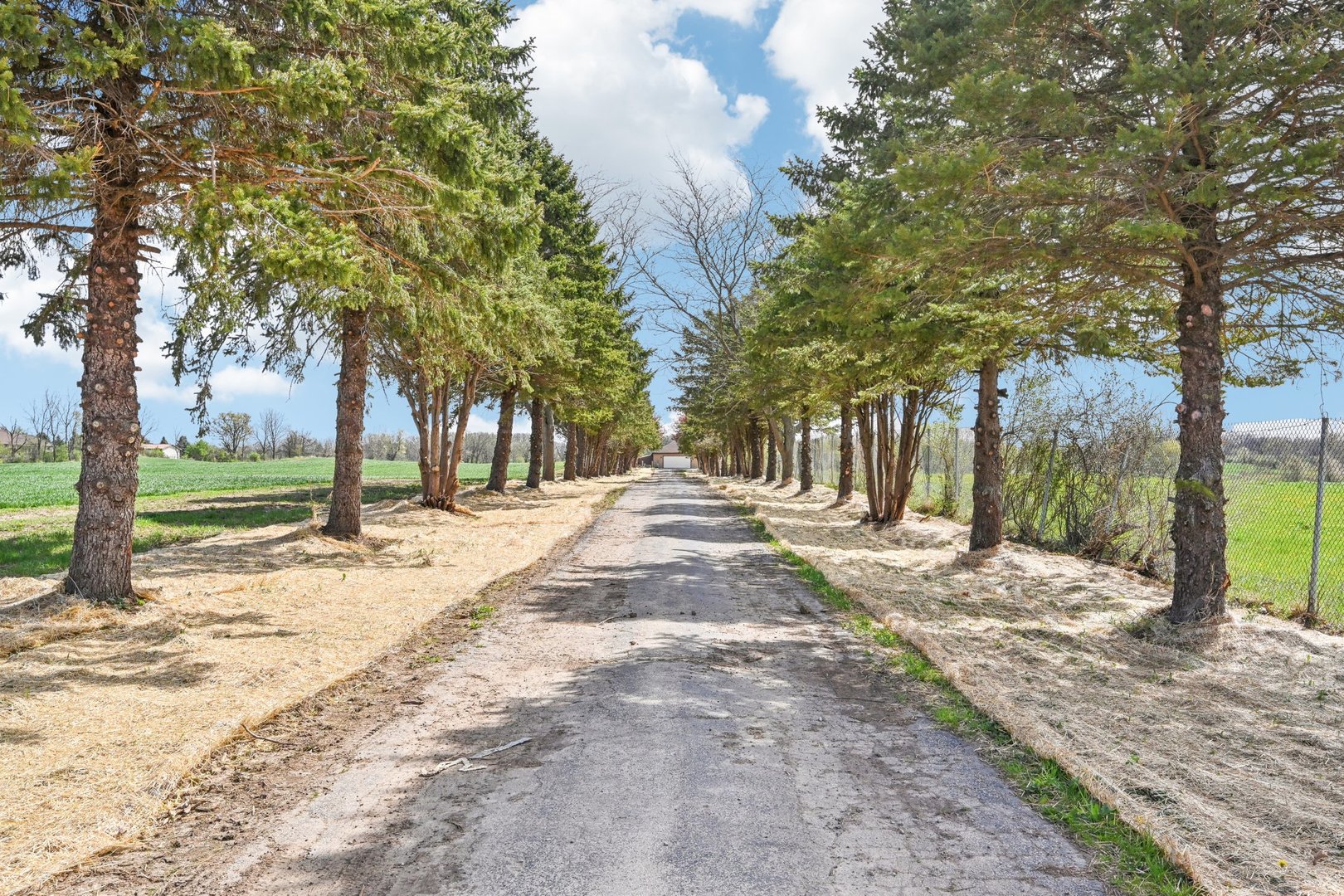 1406 Busse Road