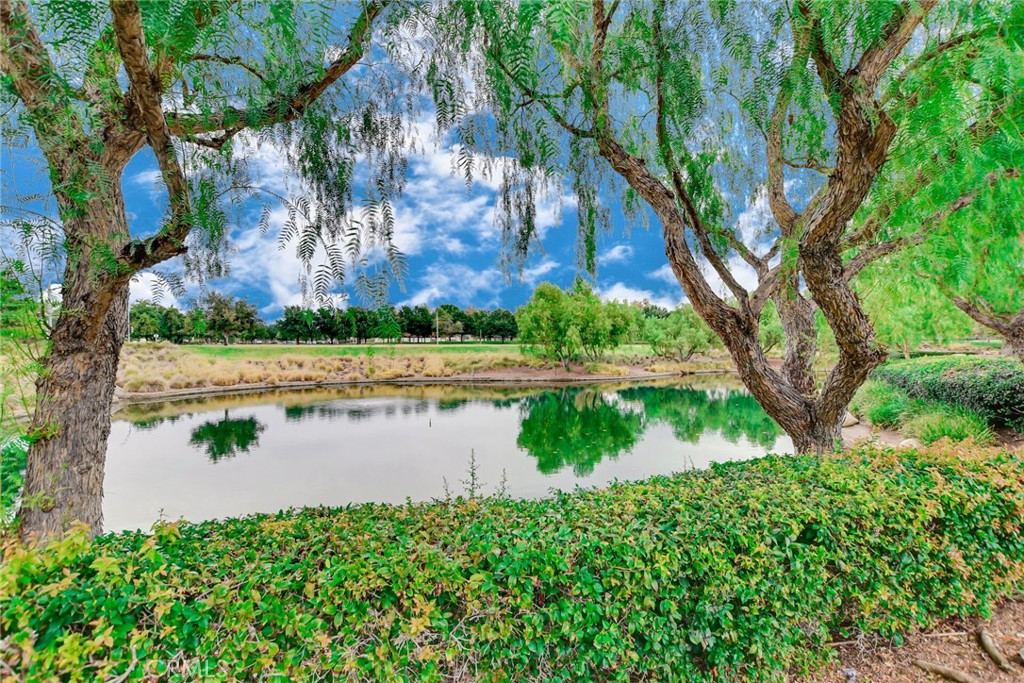 29360 Alamitos Drive