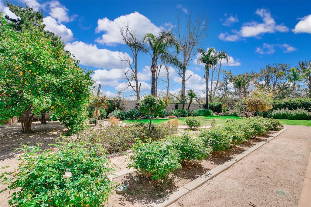 6179 Golden Trails Avenue