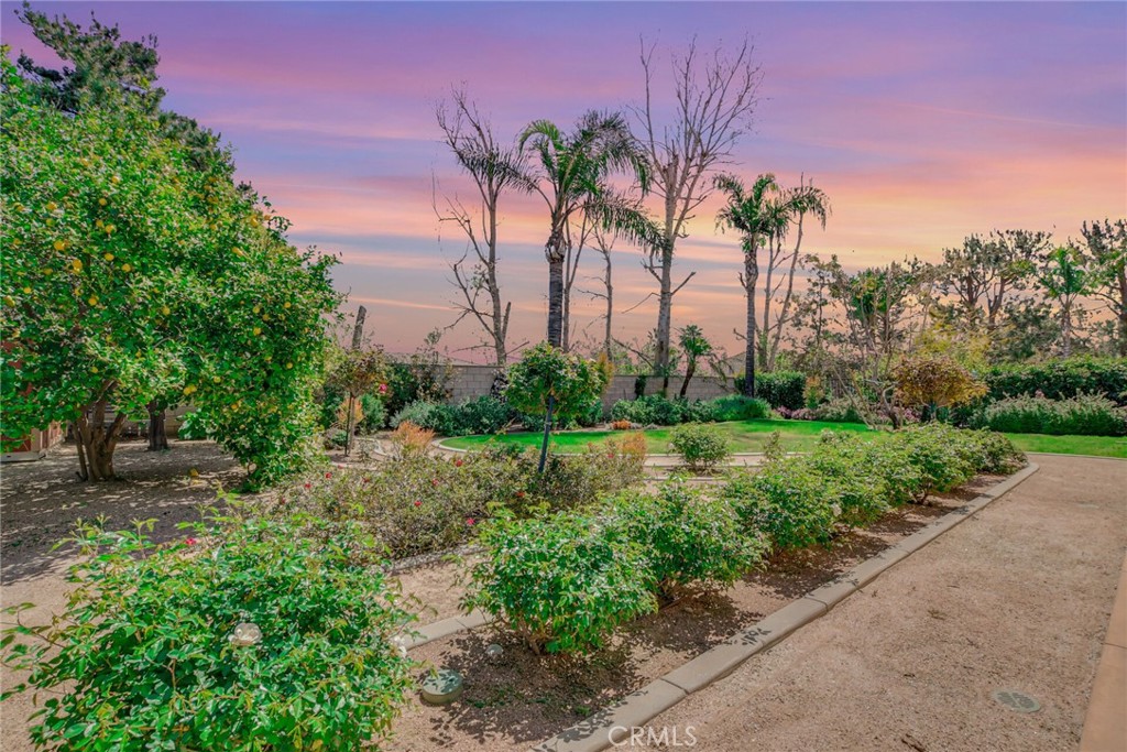 6179 Golden Trails Avenue